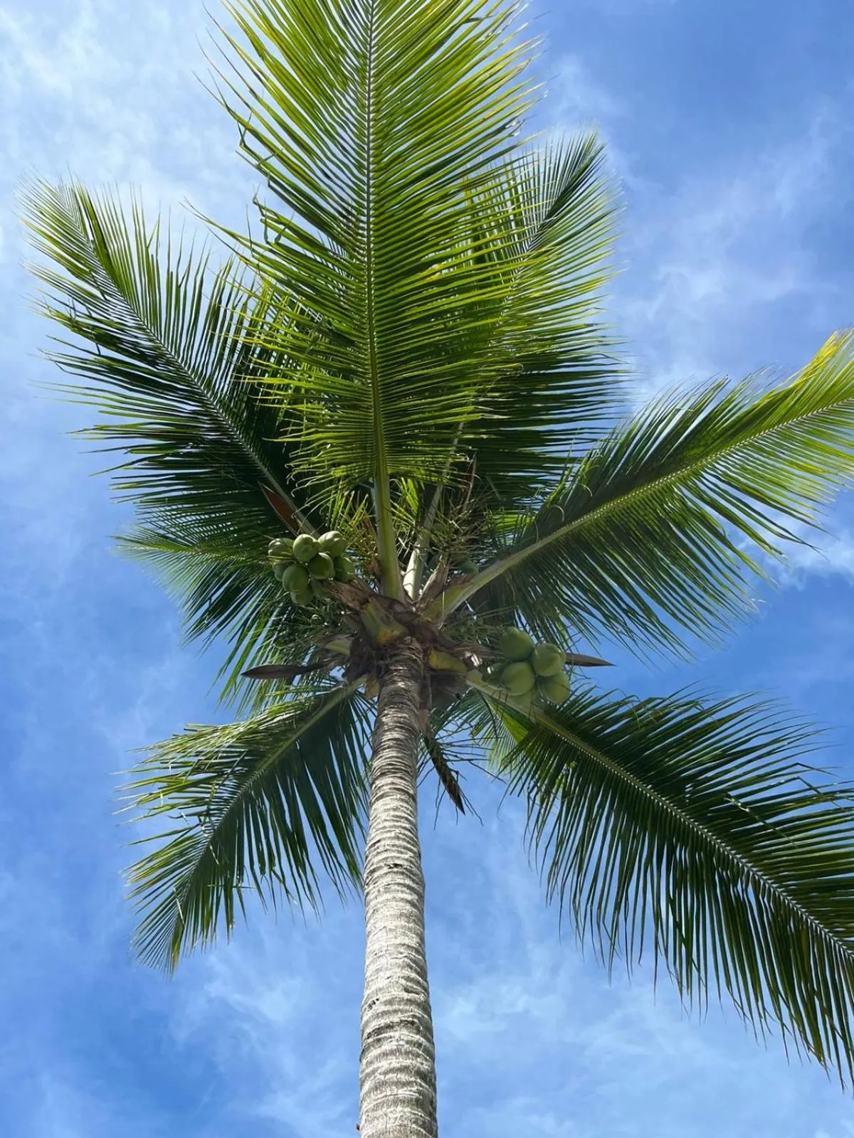 Day in Vila das Mangabeiras Corumbau