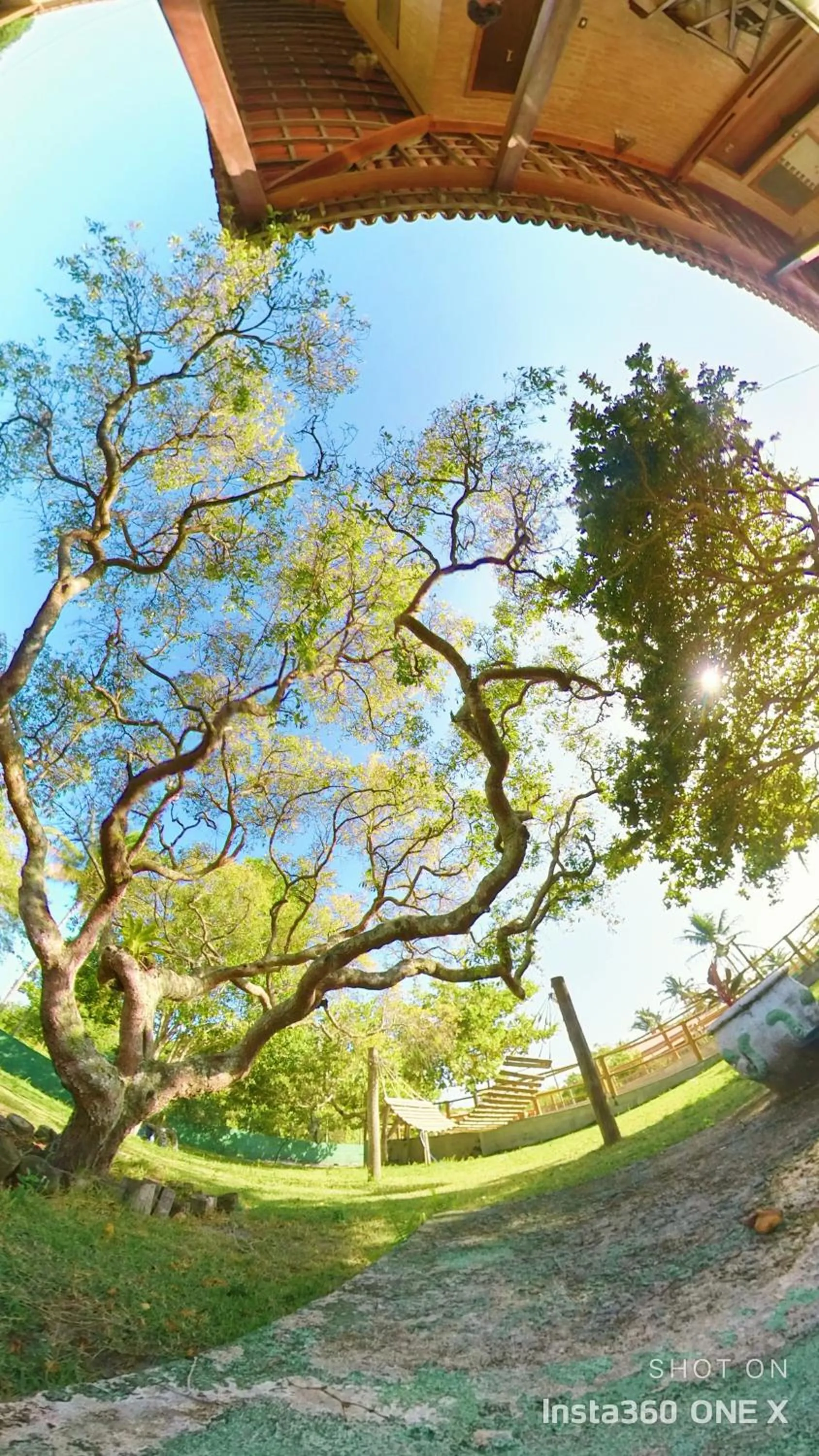 Spring in Vila das Mangabeiras Corumbau