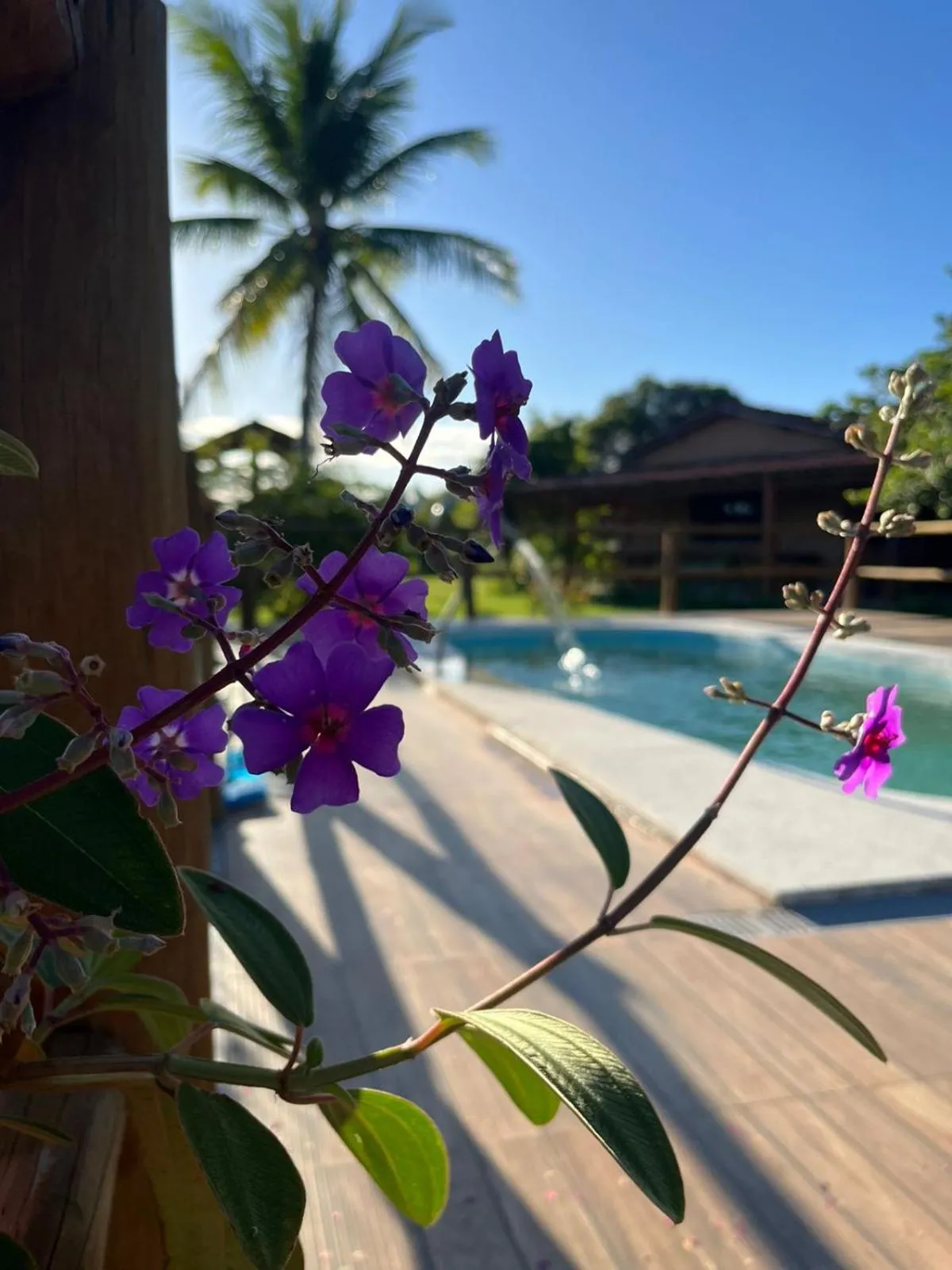 Day in Vila das Mangabeiras Corumbau