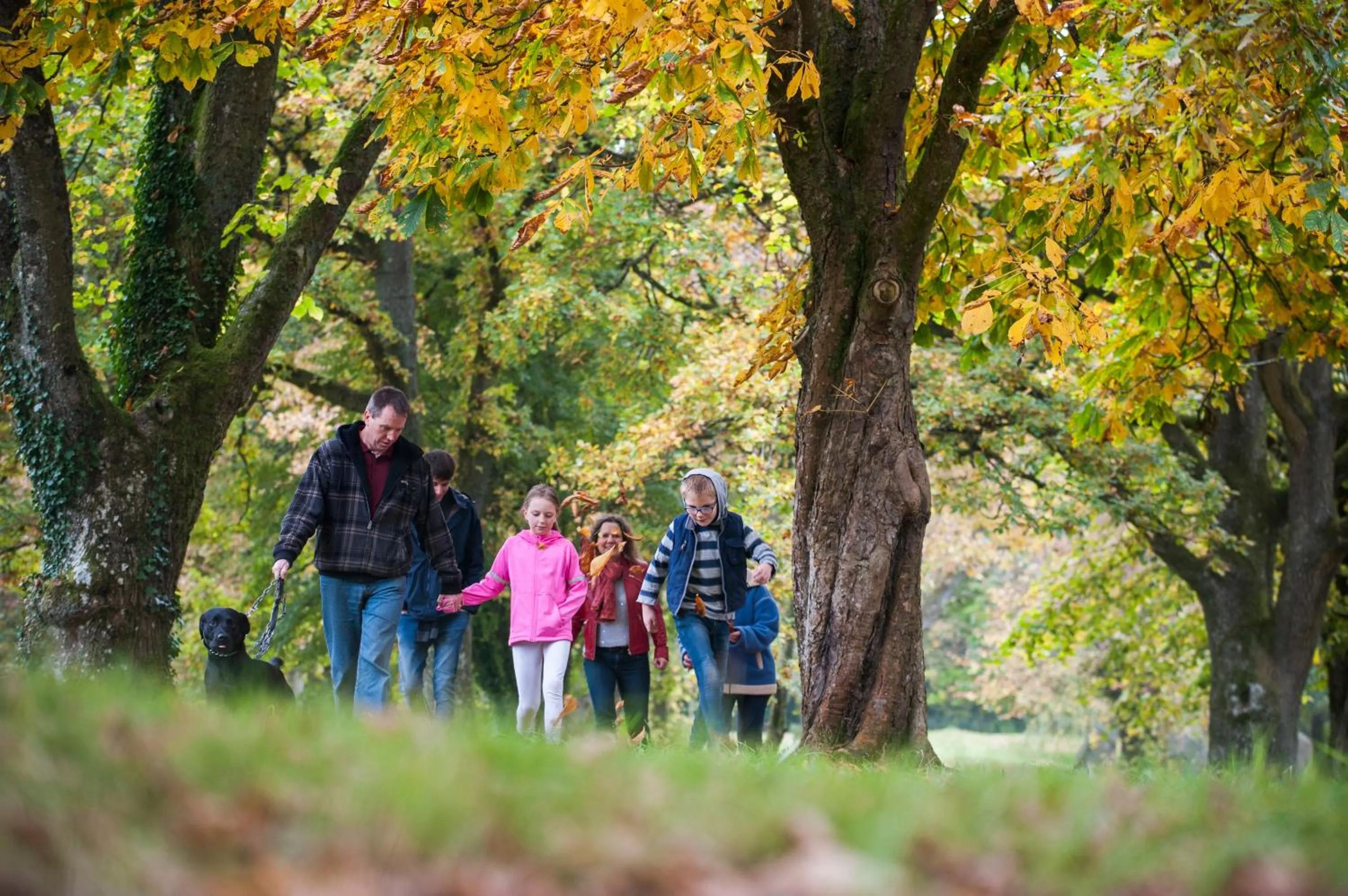Staff in Highland Moors
