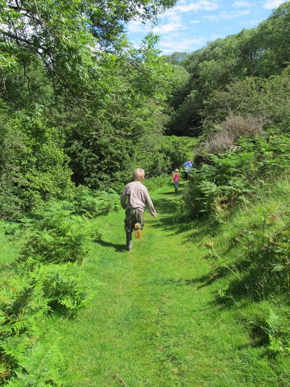 Natural landscape in Highland Moors
