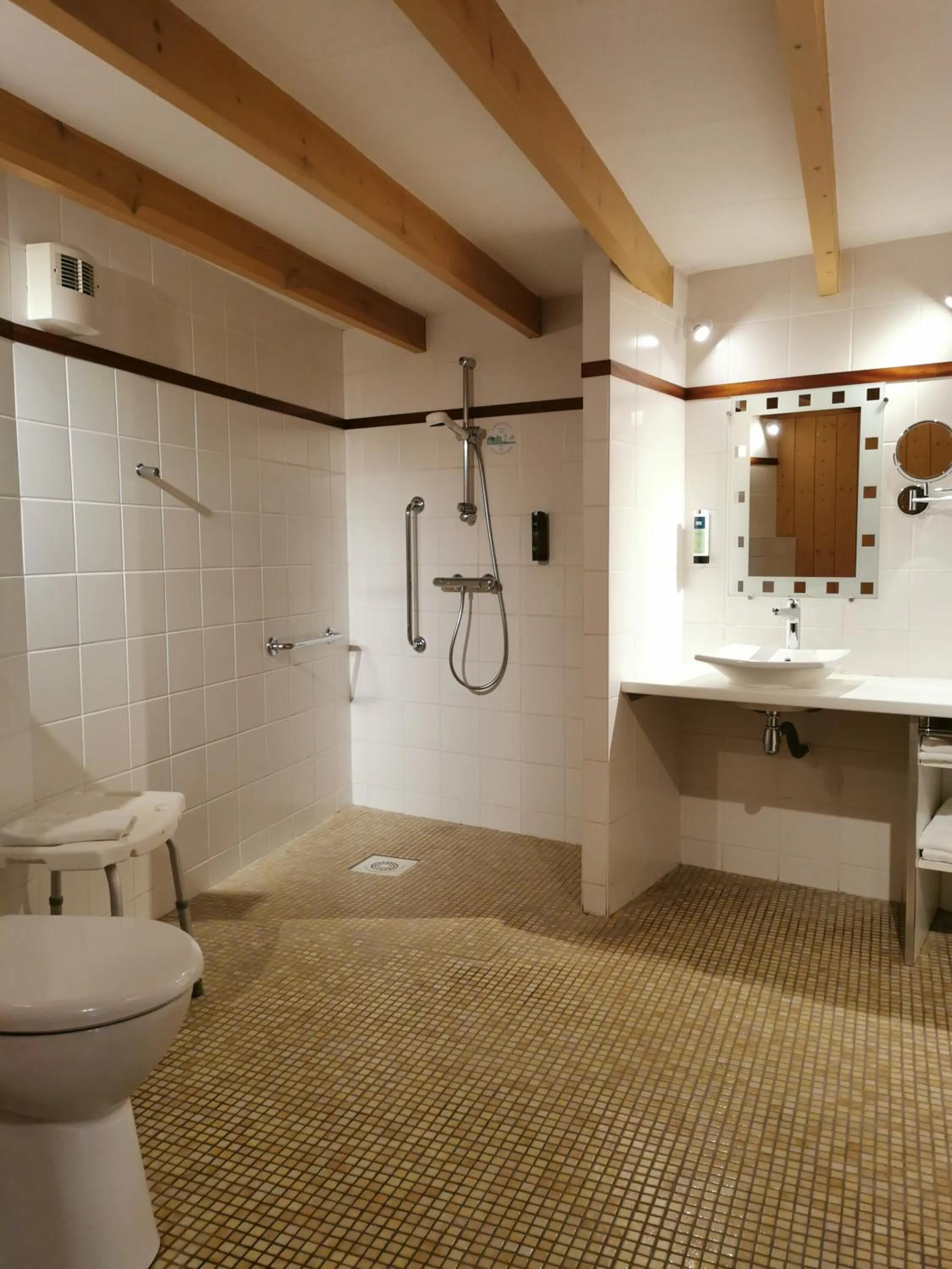 Shower in Logis Hôtel Le Central