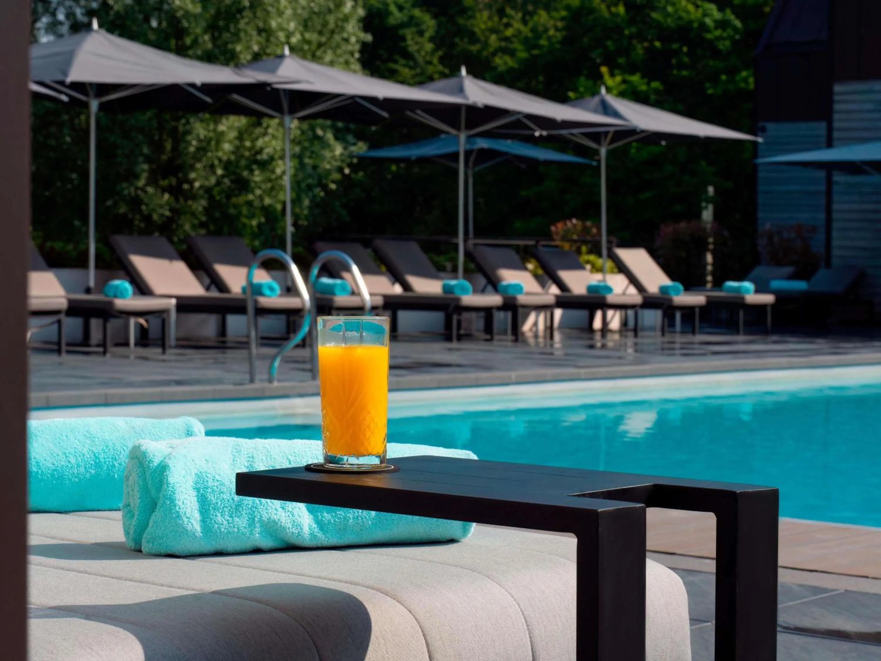 Pool view in Le Domaine des Vanneaux Golf & Spa L'Isle Adam - MGallery Collection