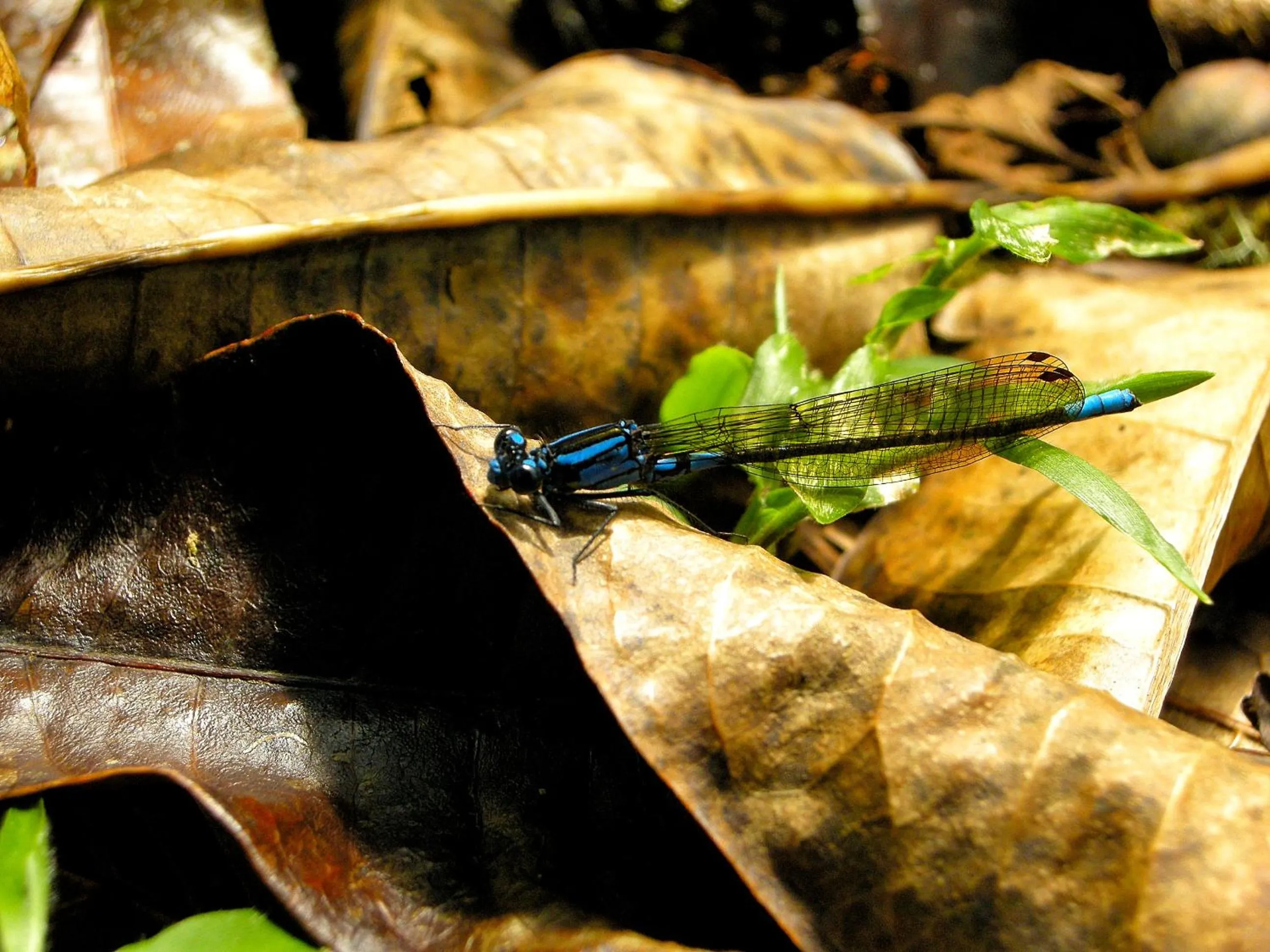 Other in Hotel de Montaña Suria