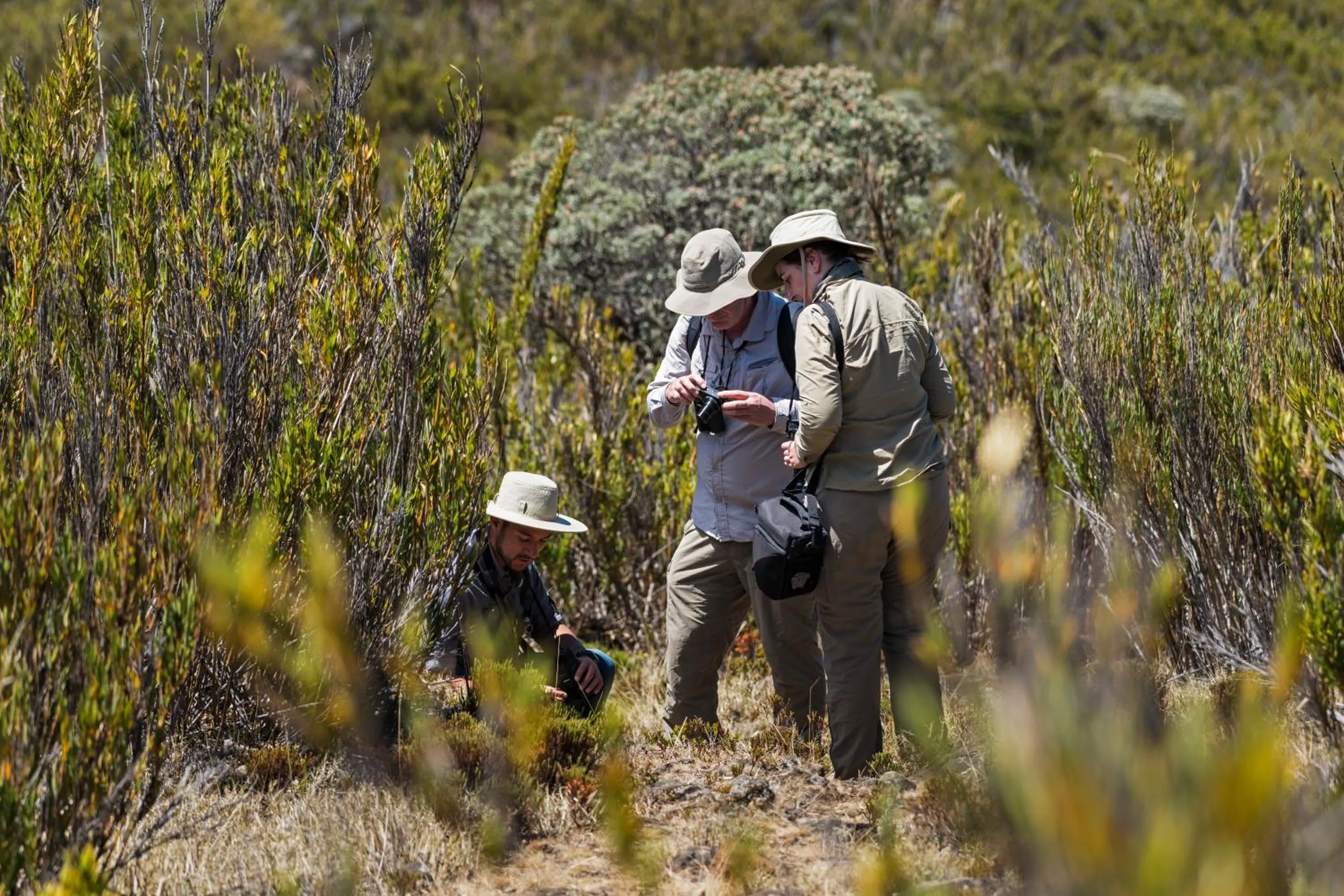 Off site in Hotel de Montaña Suria