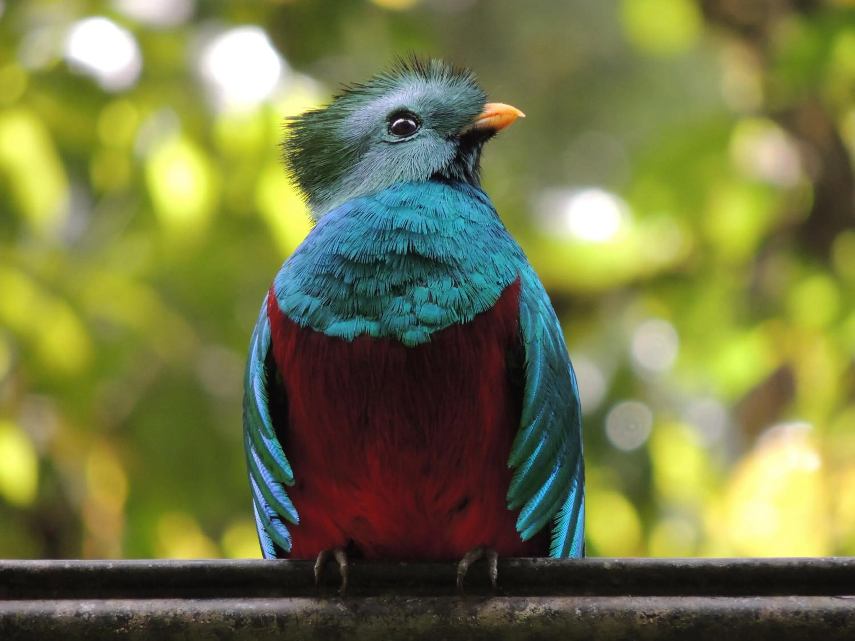 Activities in Hotel de Montaña Suria