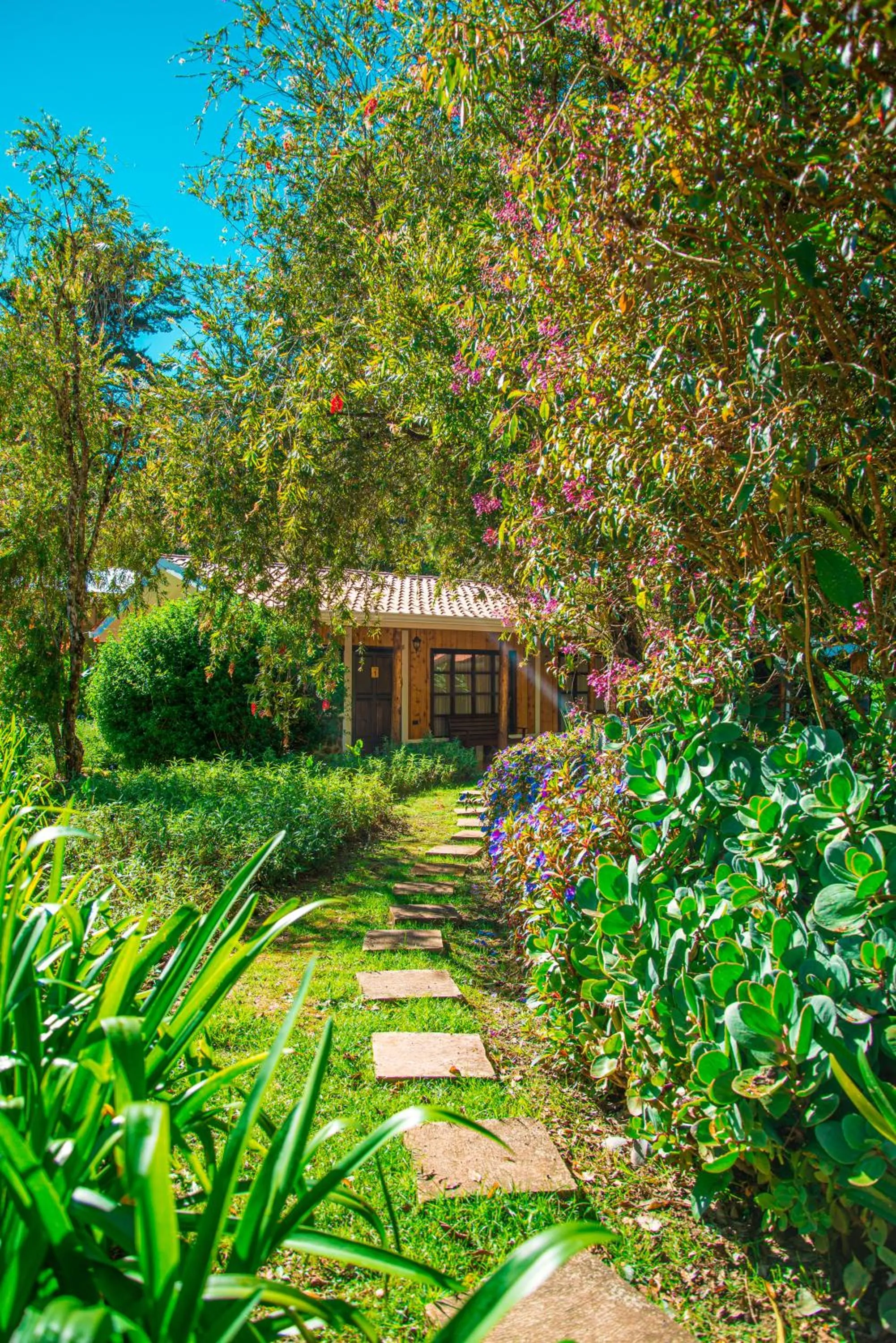 Garden in Hotel de Montaña Suria