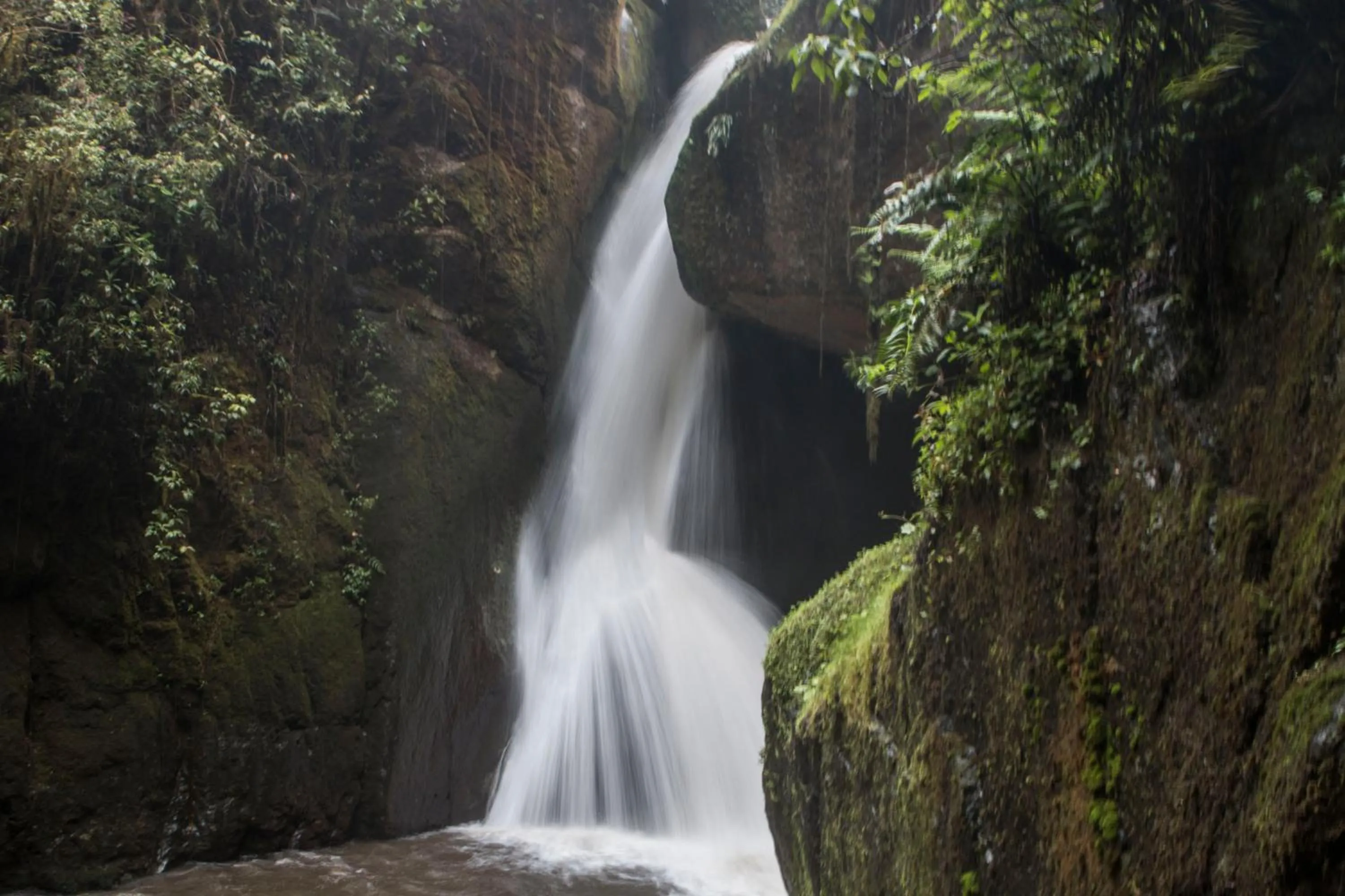 Area and facilities in Hotel de Montaña Suria
