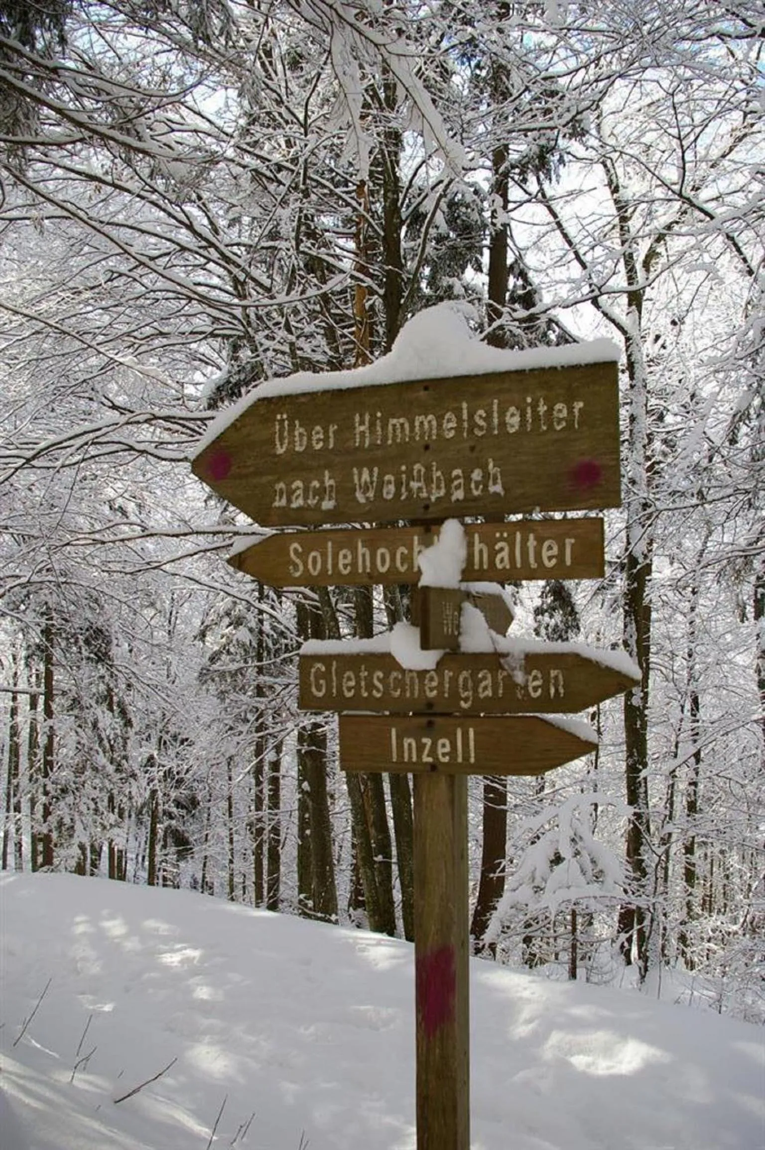 Other in Haus Holzner-Nagl