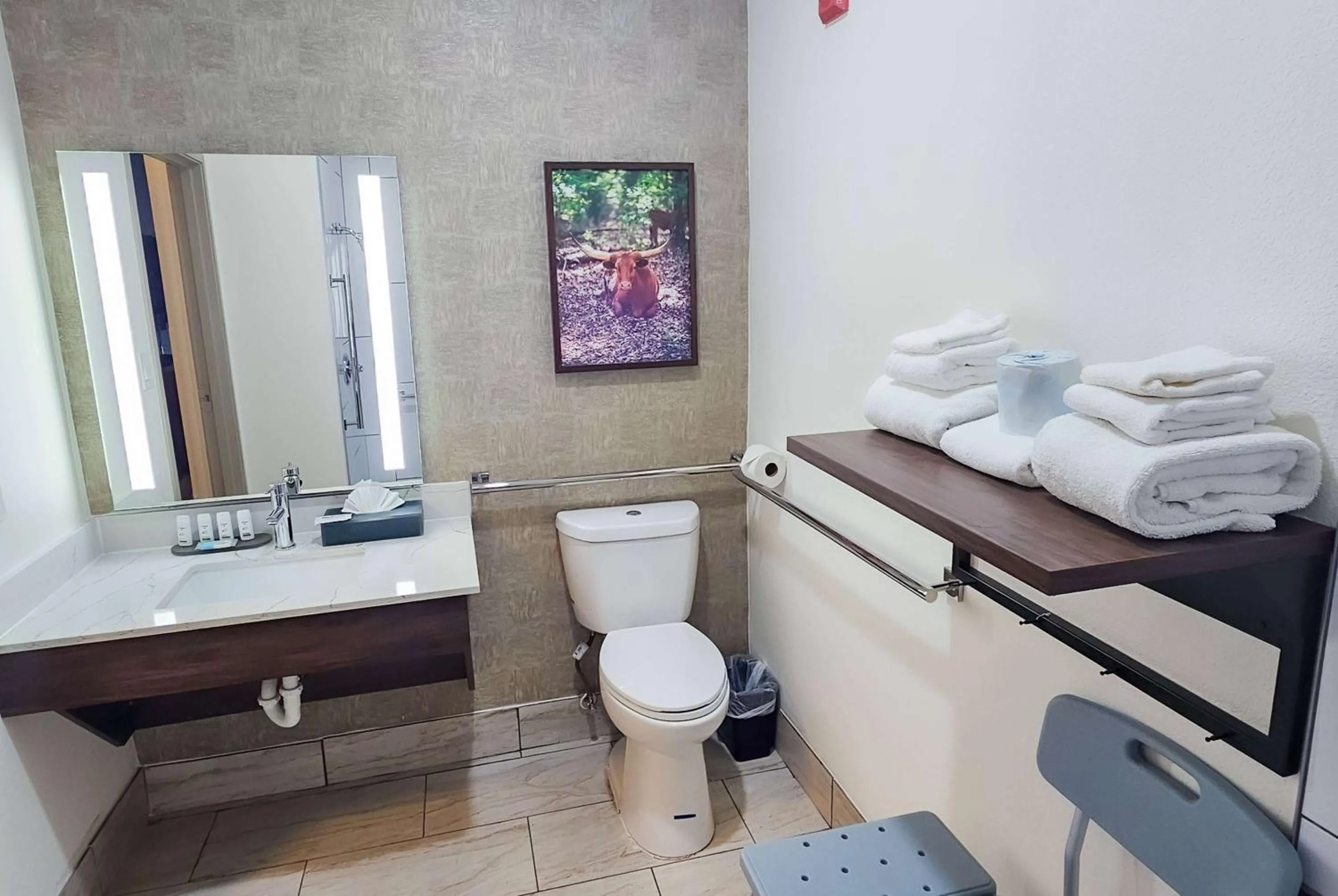 Bathroom, Bed in La Quinta by Wyndham Dallas Mesquite