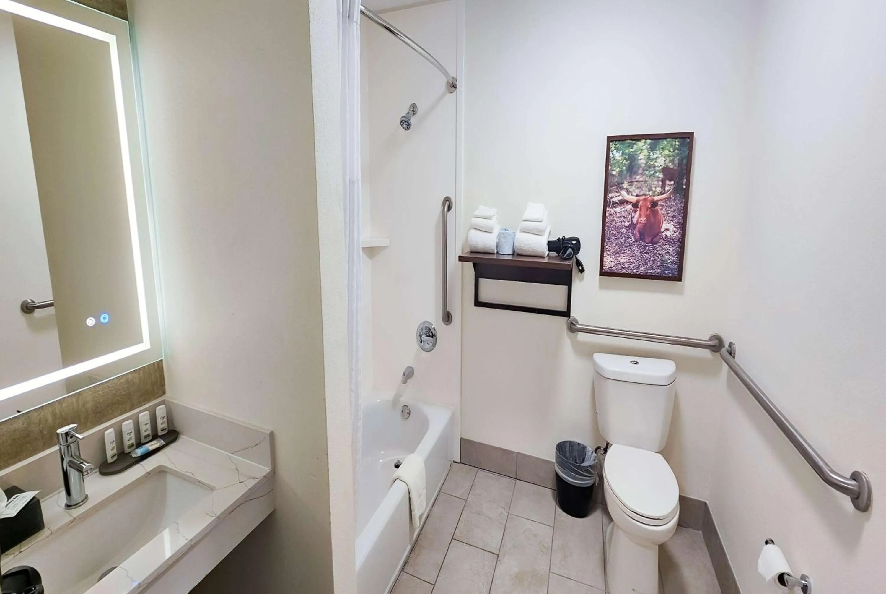 Bathroom in La Quinta by Wyndham Dallas Mesquite