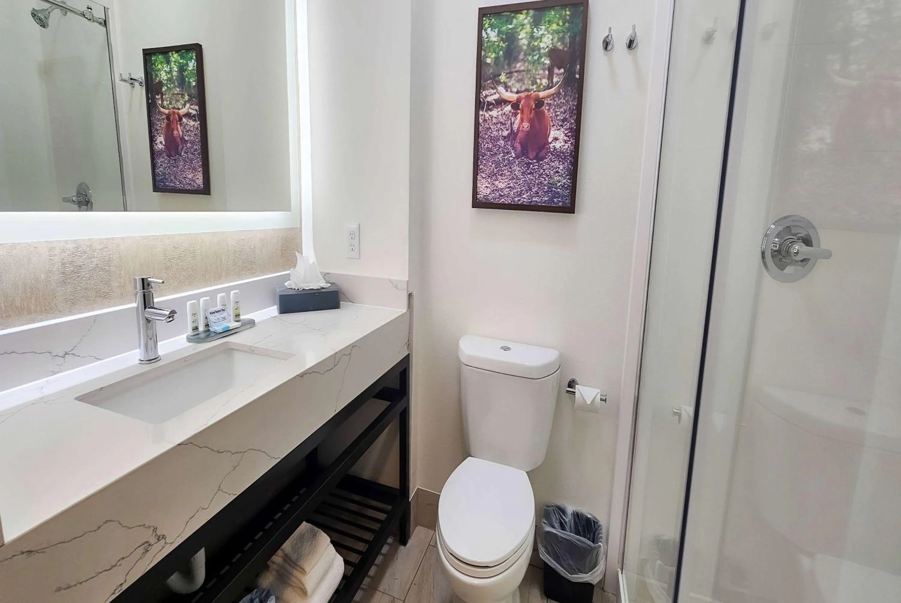 Bathroom in La Quinta by Wyndham Dallas Mesquite