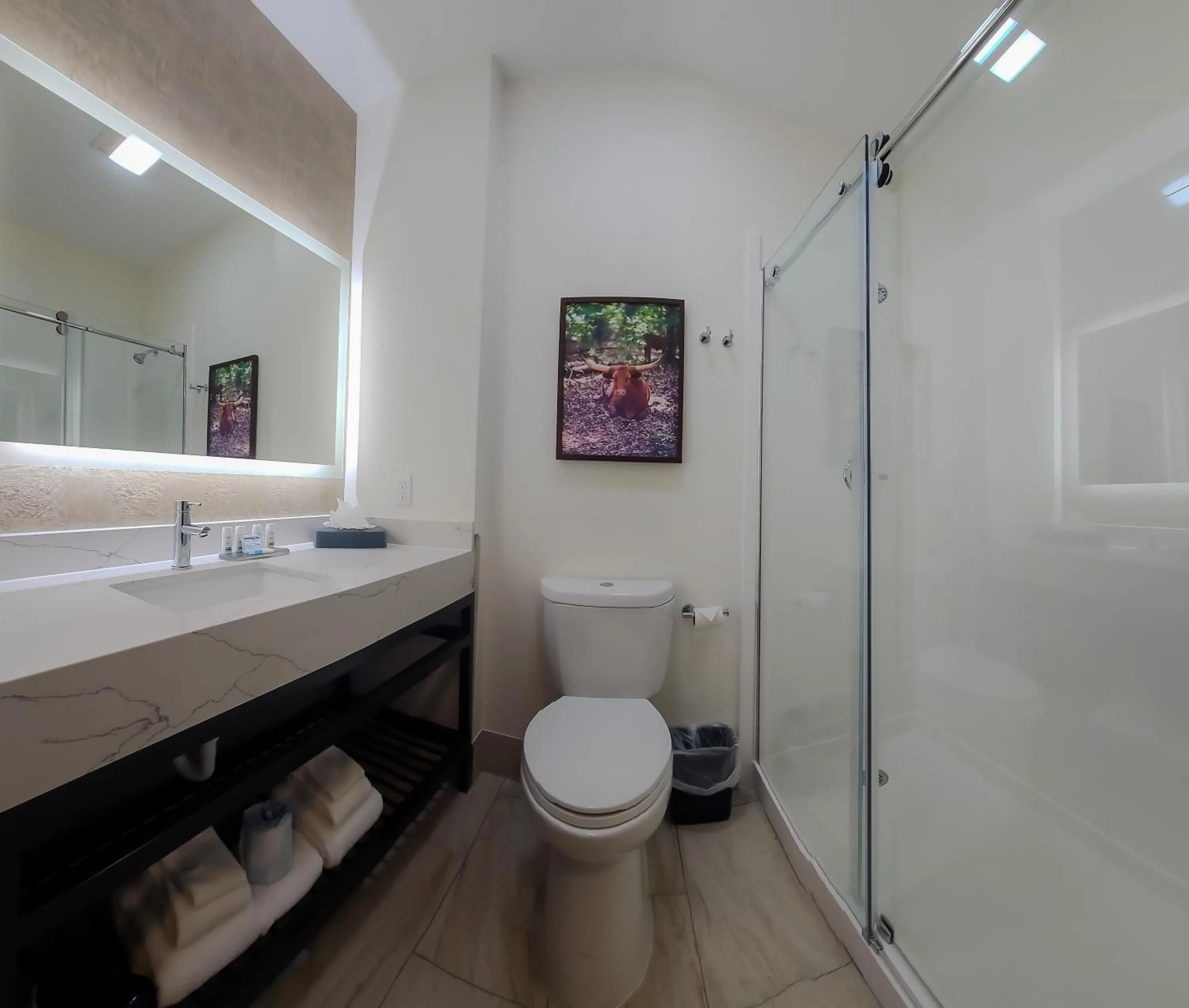 Bathroom in La Quinta by Wyndham Dallas Mesquite