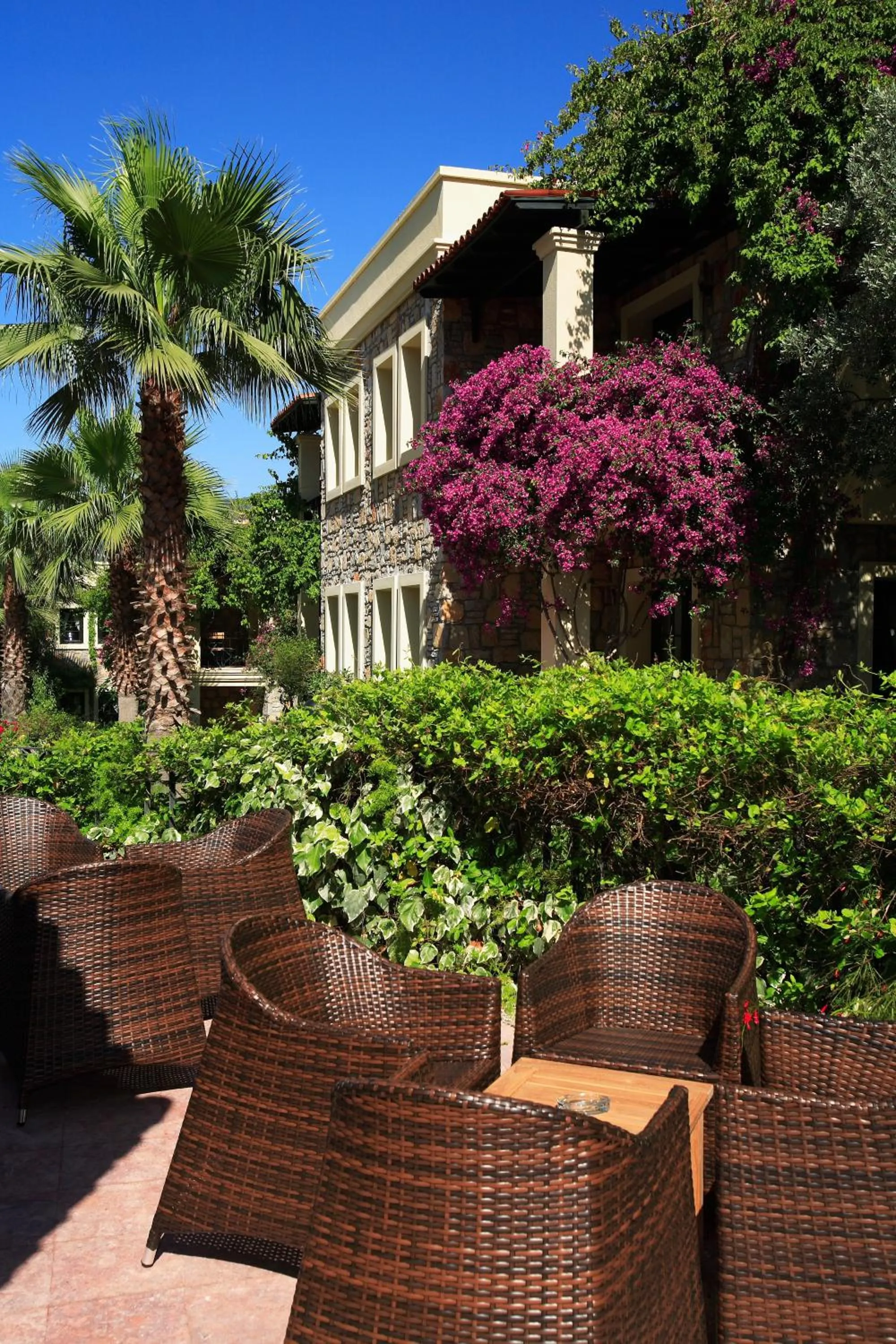 Patio in Zeytinada Hotel