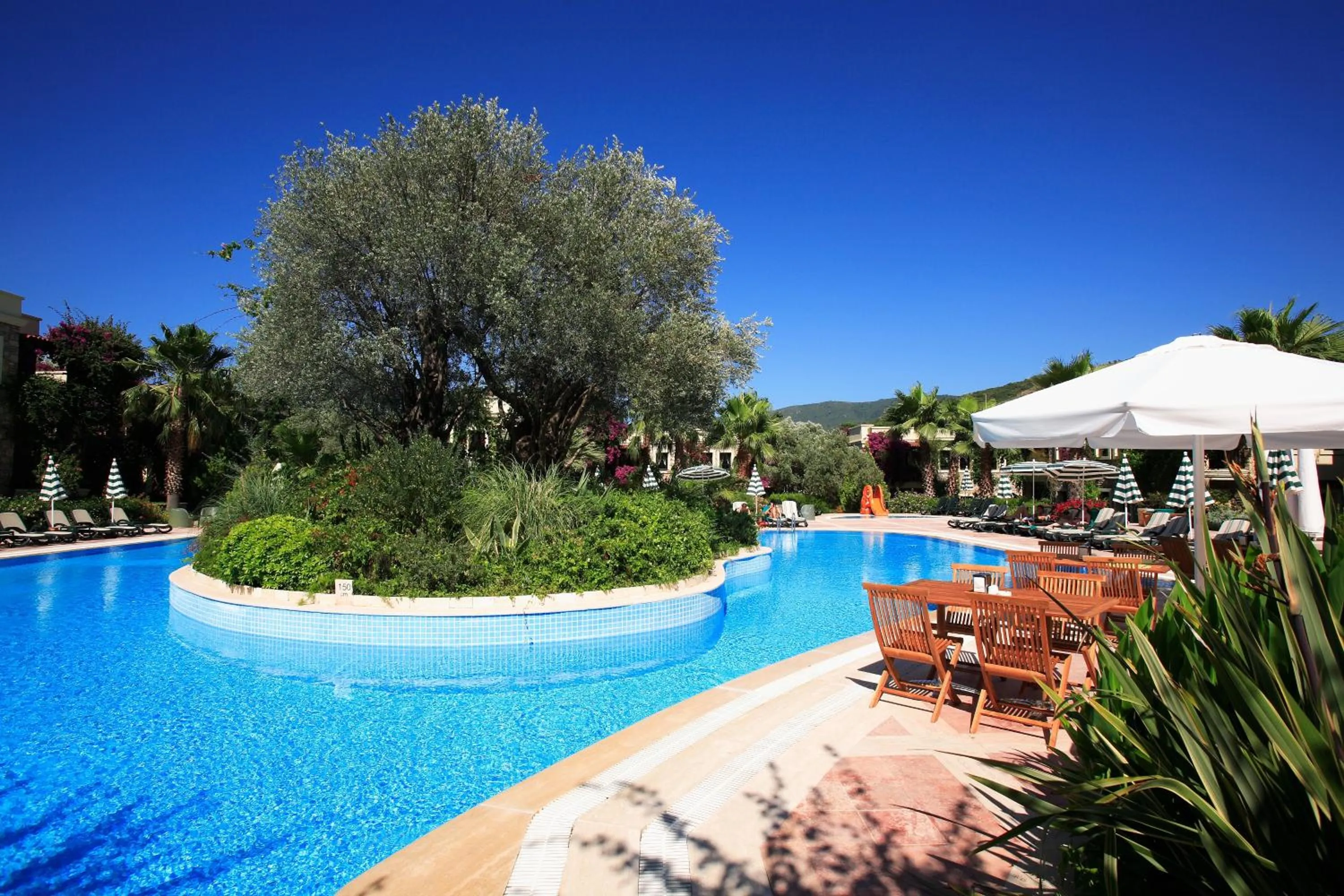 Swimming pool in Zeytinada Hotel