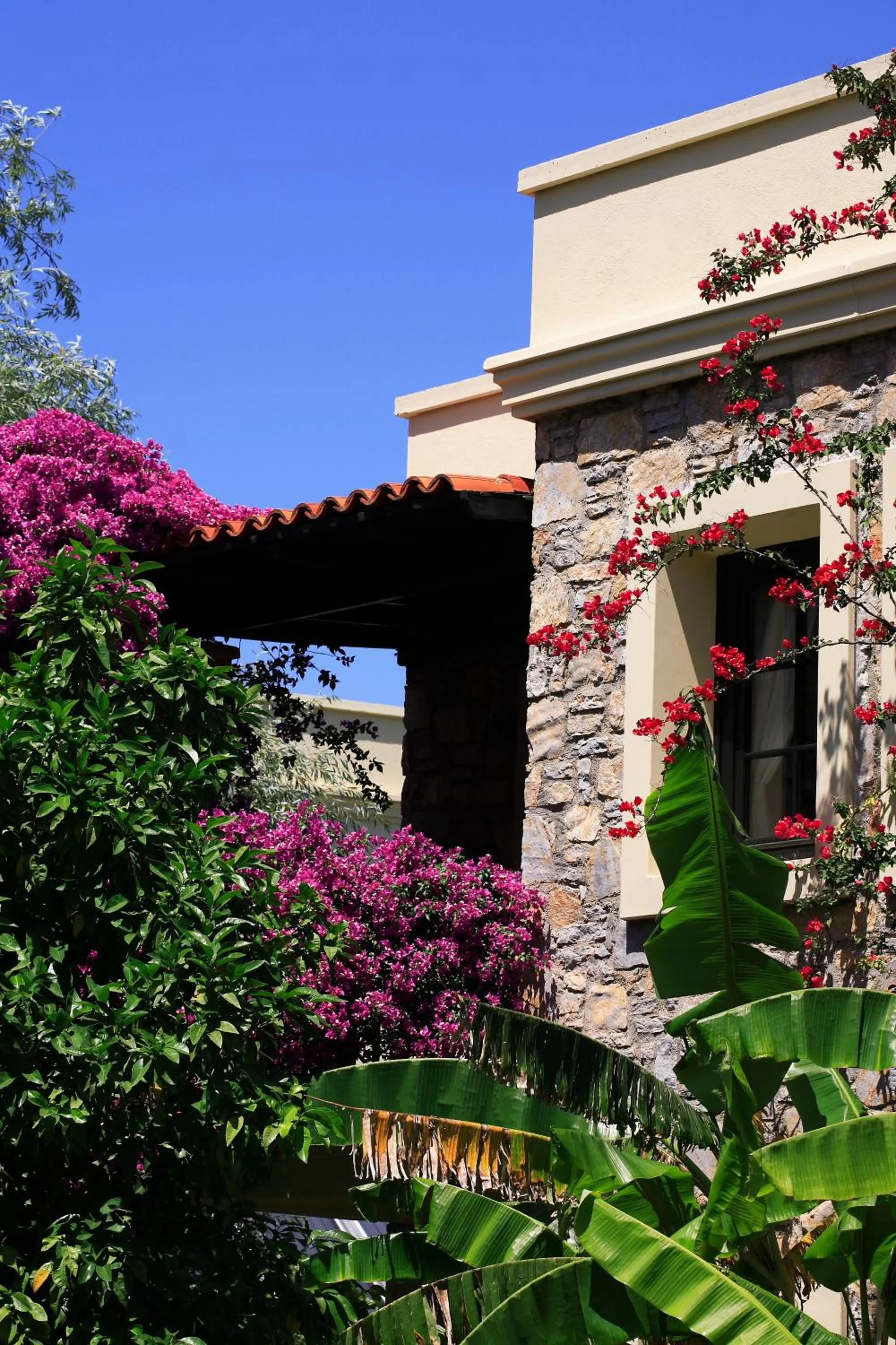 Property building in Zeytinada Hotel