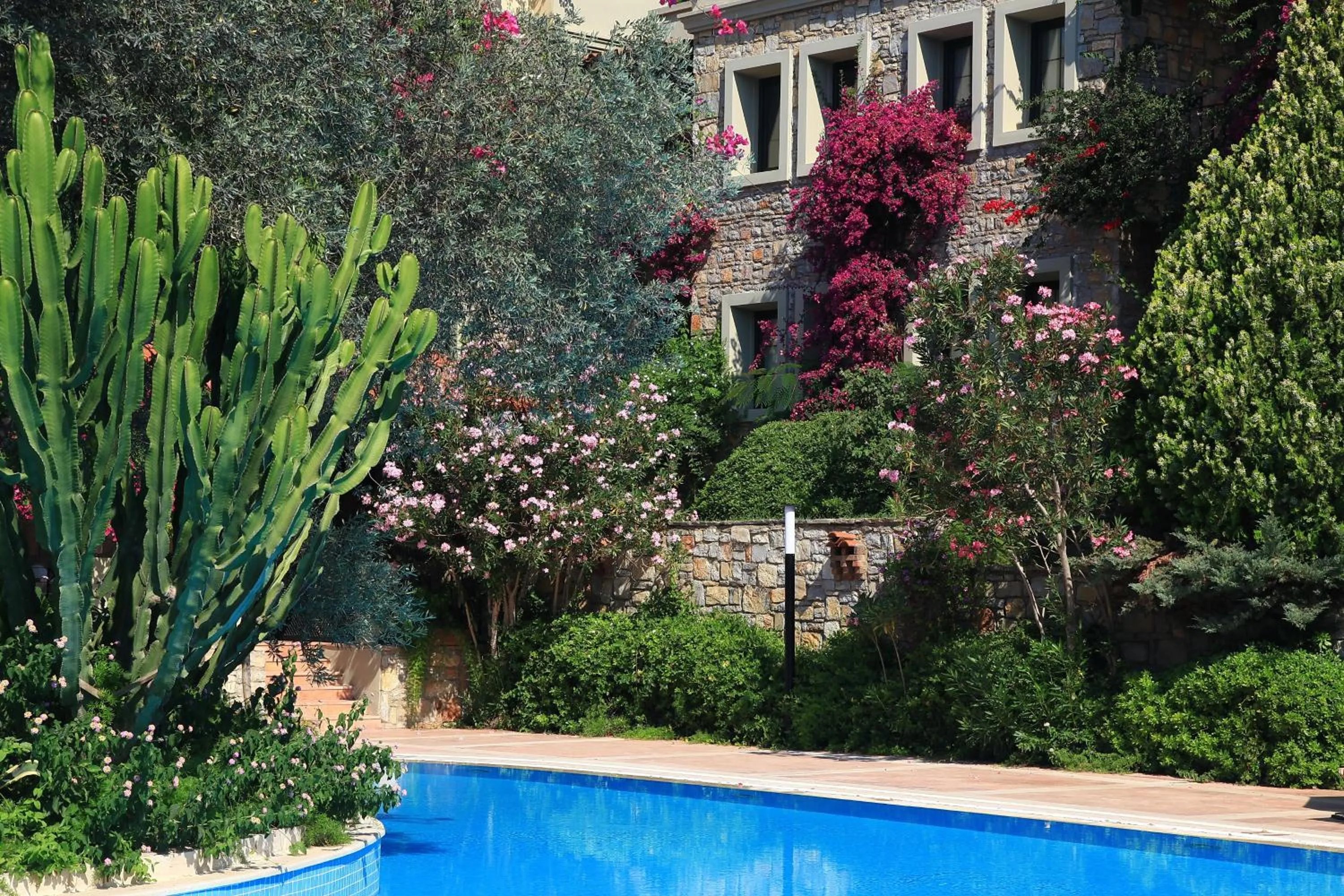 Garden in Zeytinada Hotel