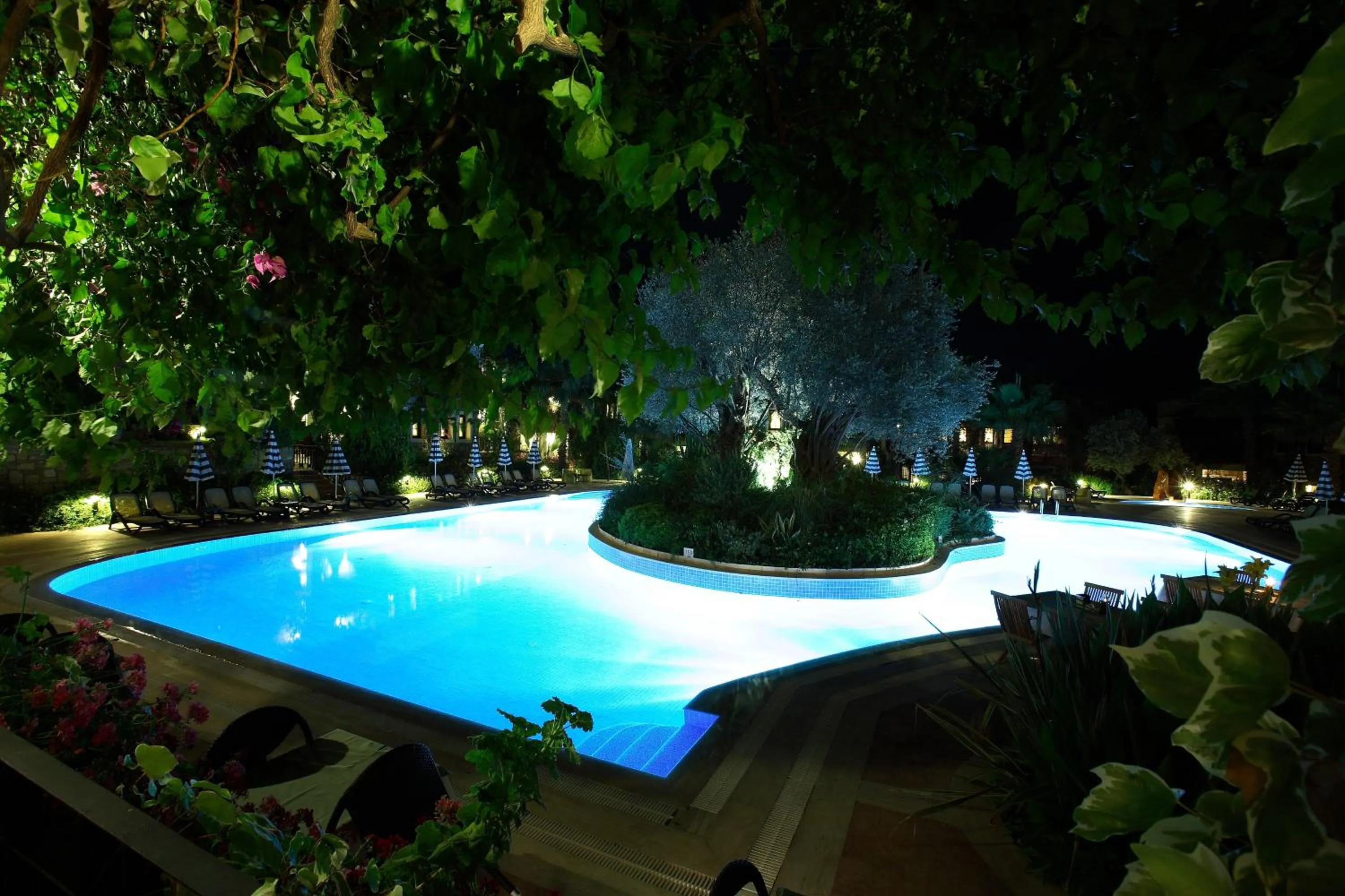 Swimming pool in Zeytinada Hotel