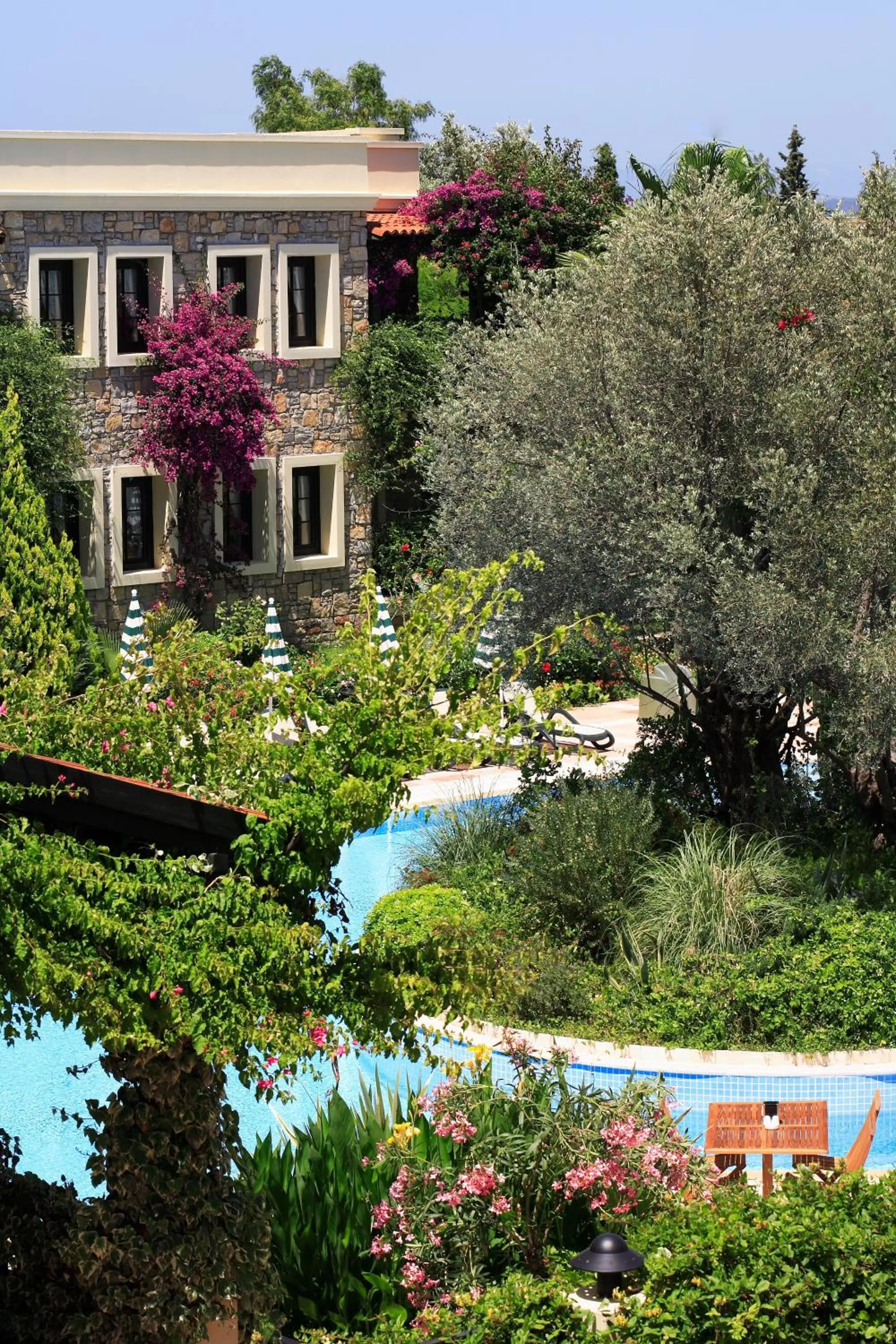 Pool view in Zeytinada Hotel