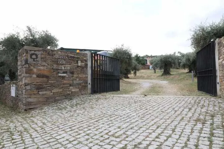 Quinta dos Avidagos - AgroTurismo, Mirandela
