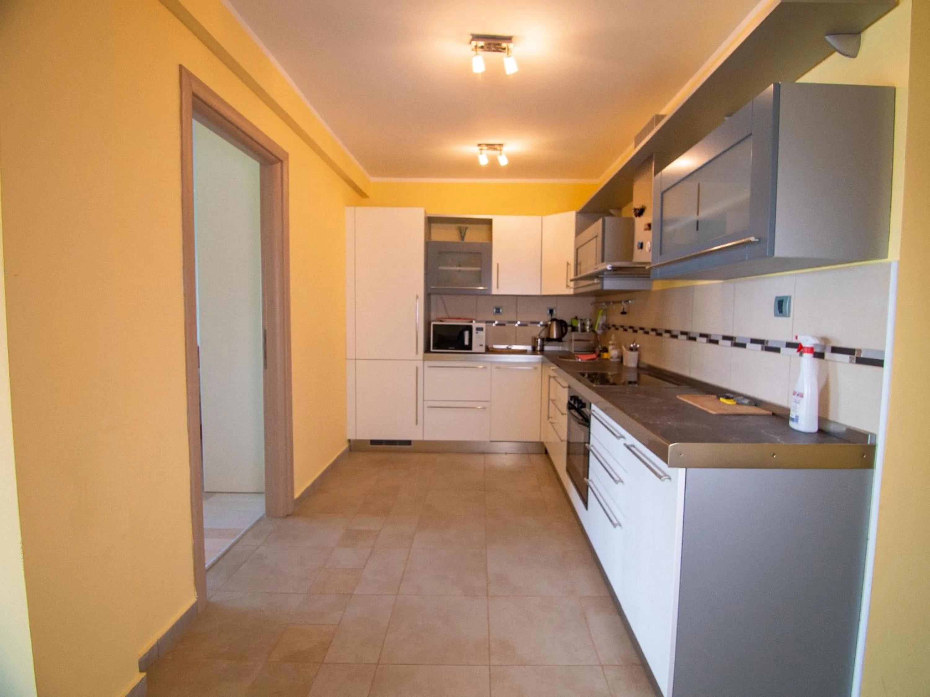 Kitchen or kitchenette in Mum's Apartment