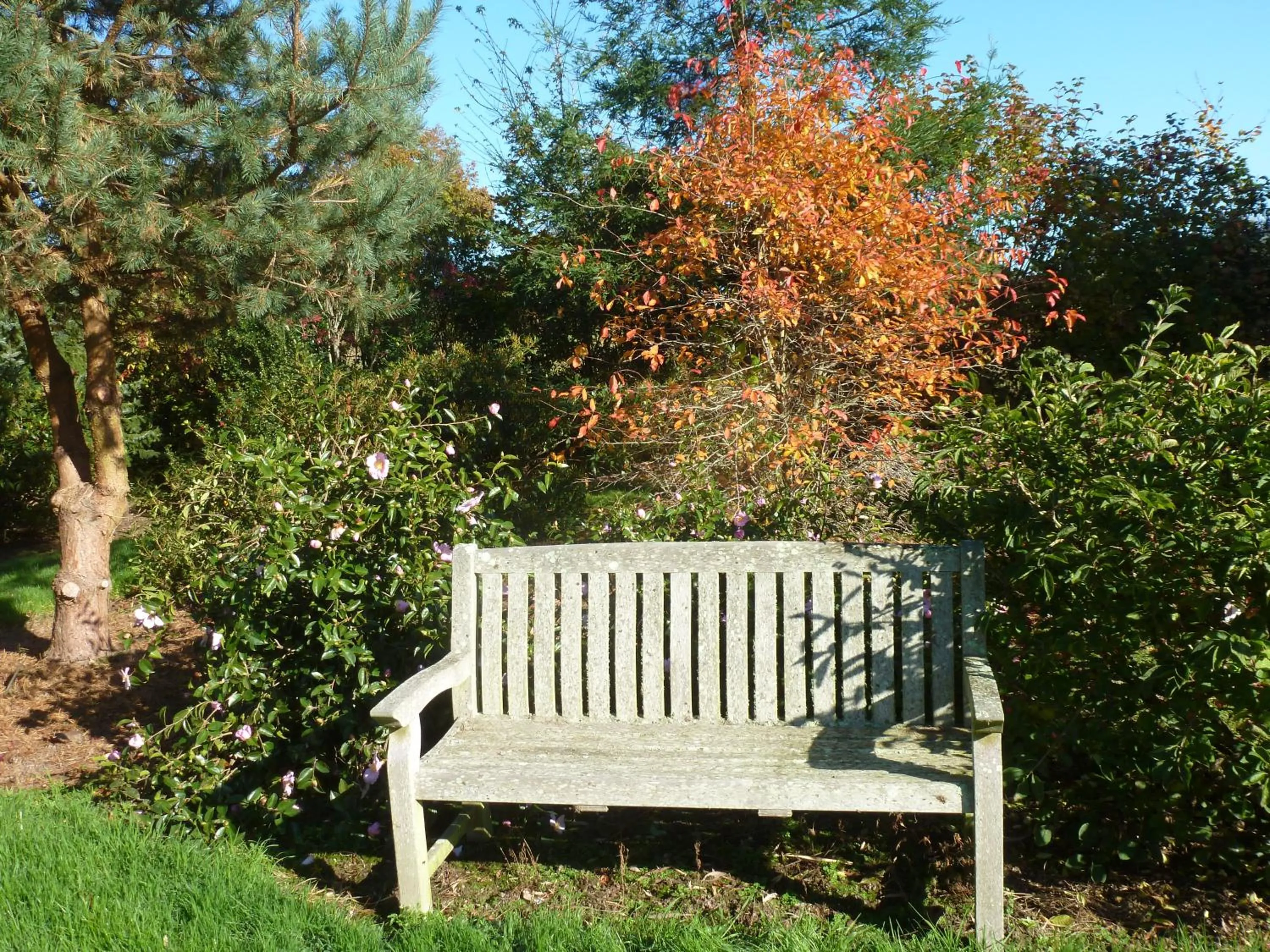 Garden in Manoir De Savigny