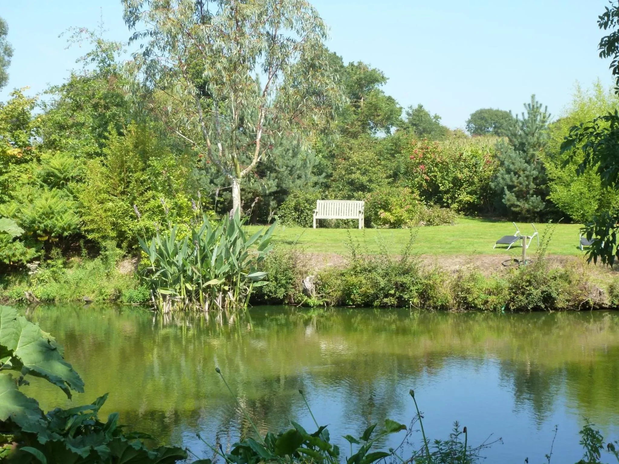 Garden in Manoir De Savigny