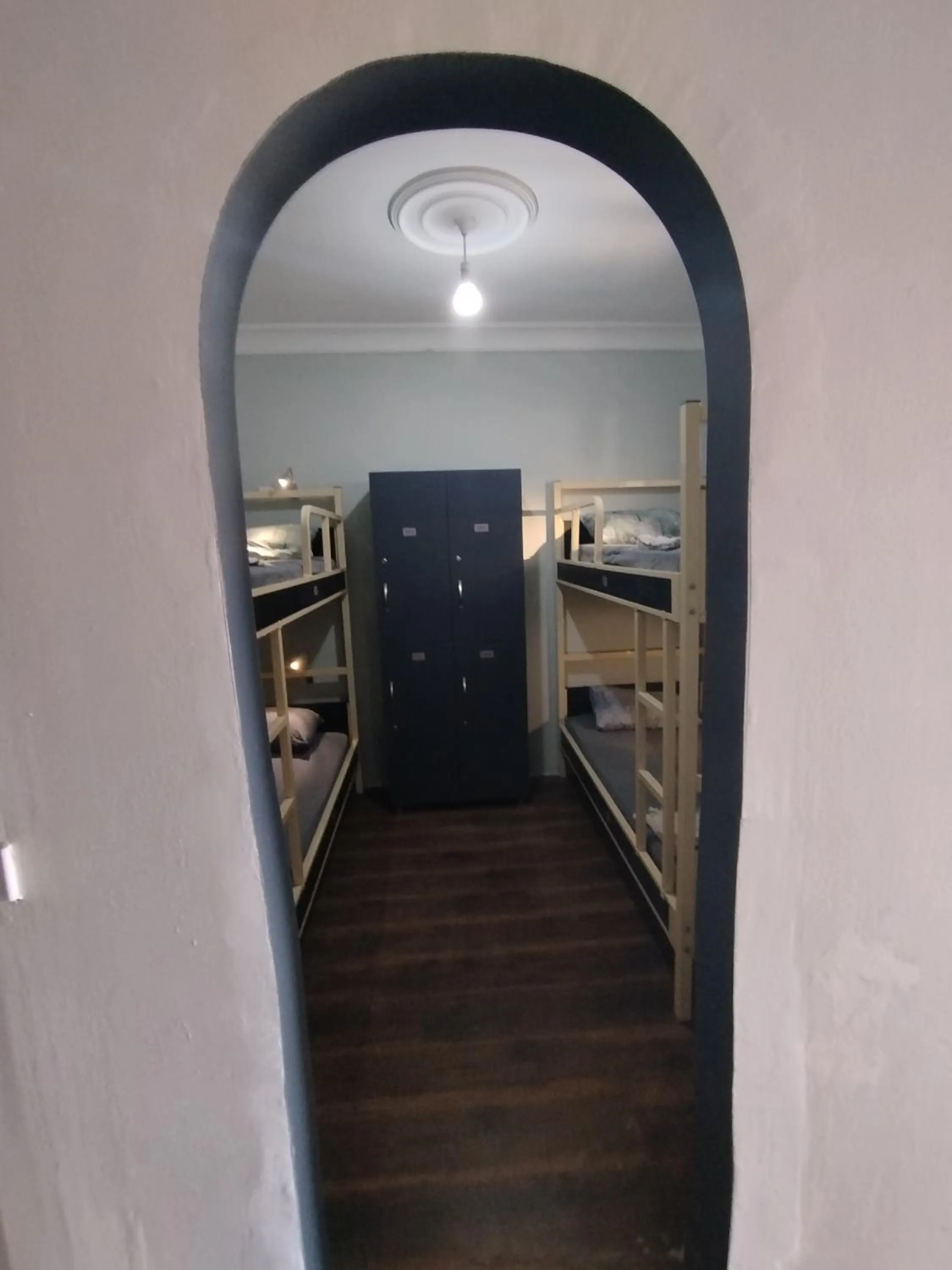 bunk bed in ivy hostel cafe