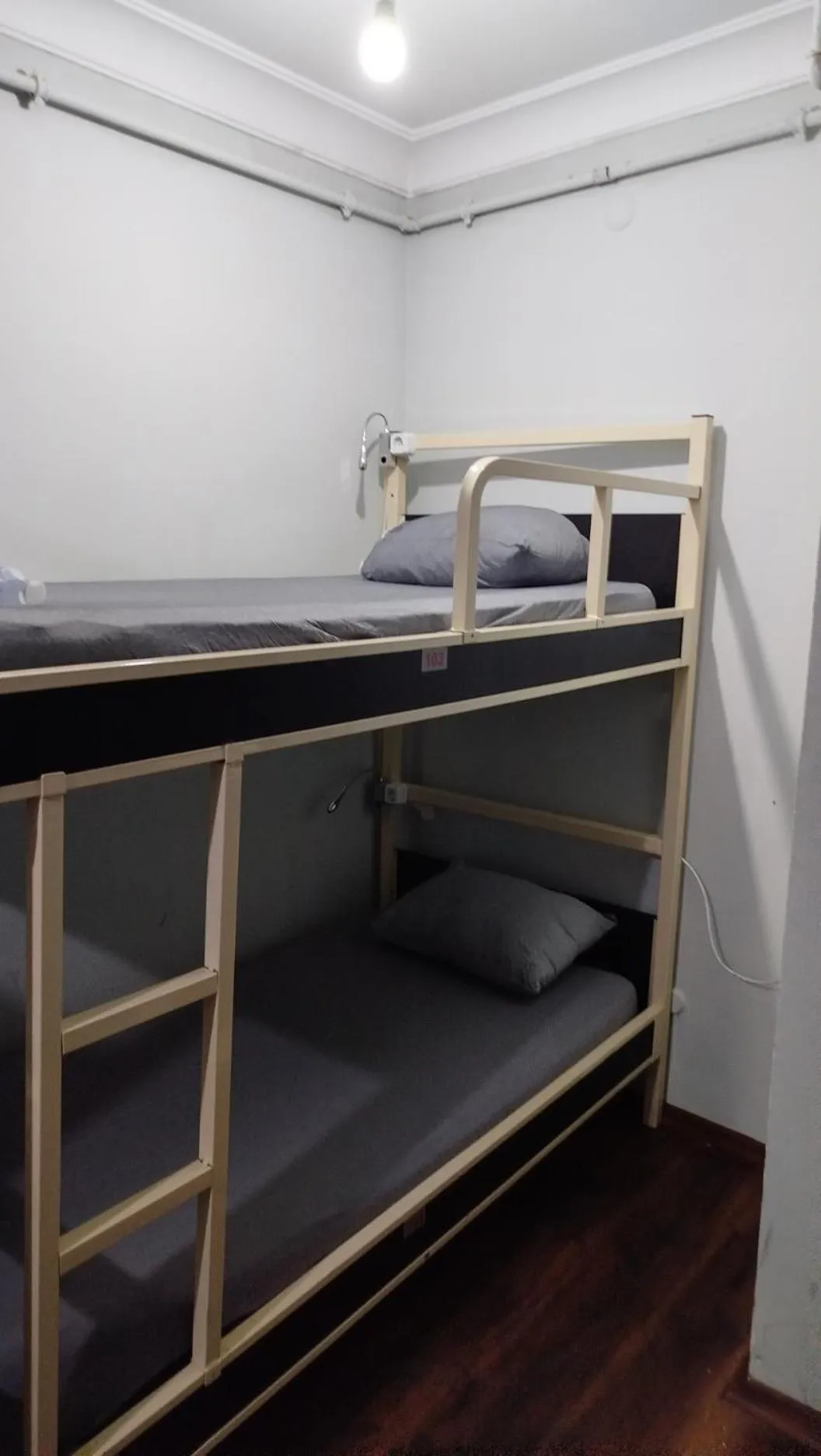 Bed in ivy hostel cafe