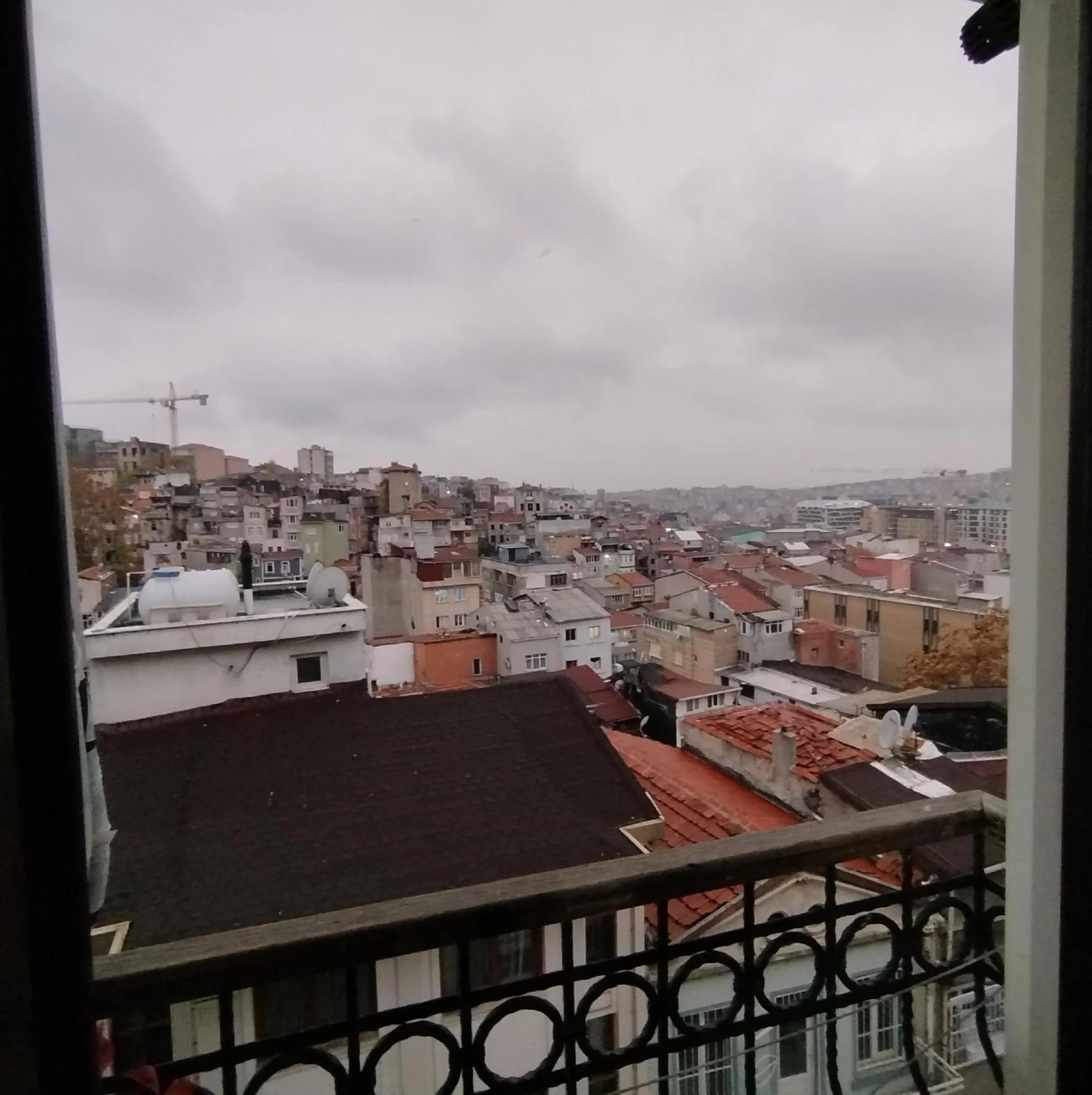 View (from property/room) in ivy hostel cafe