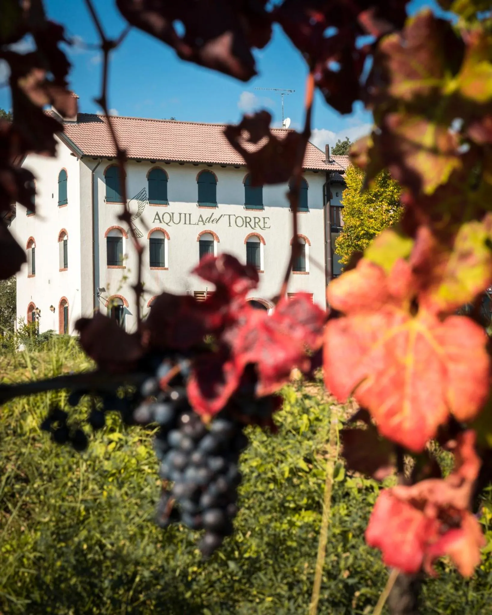 Property building in Oasi Picolit