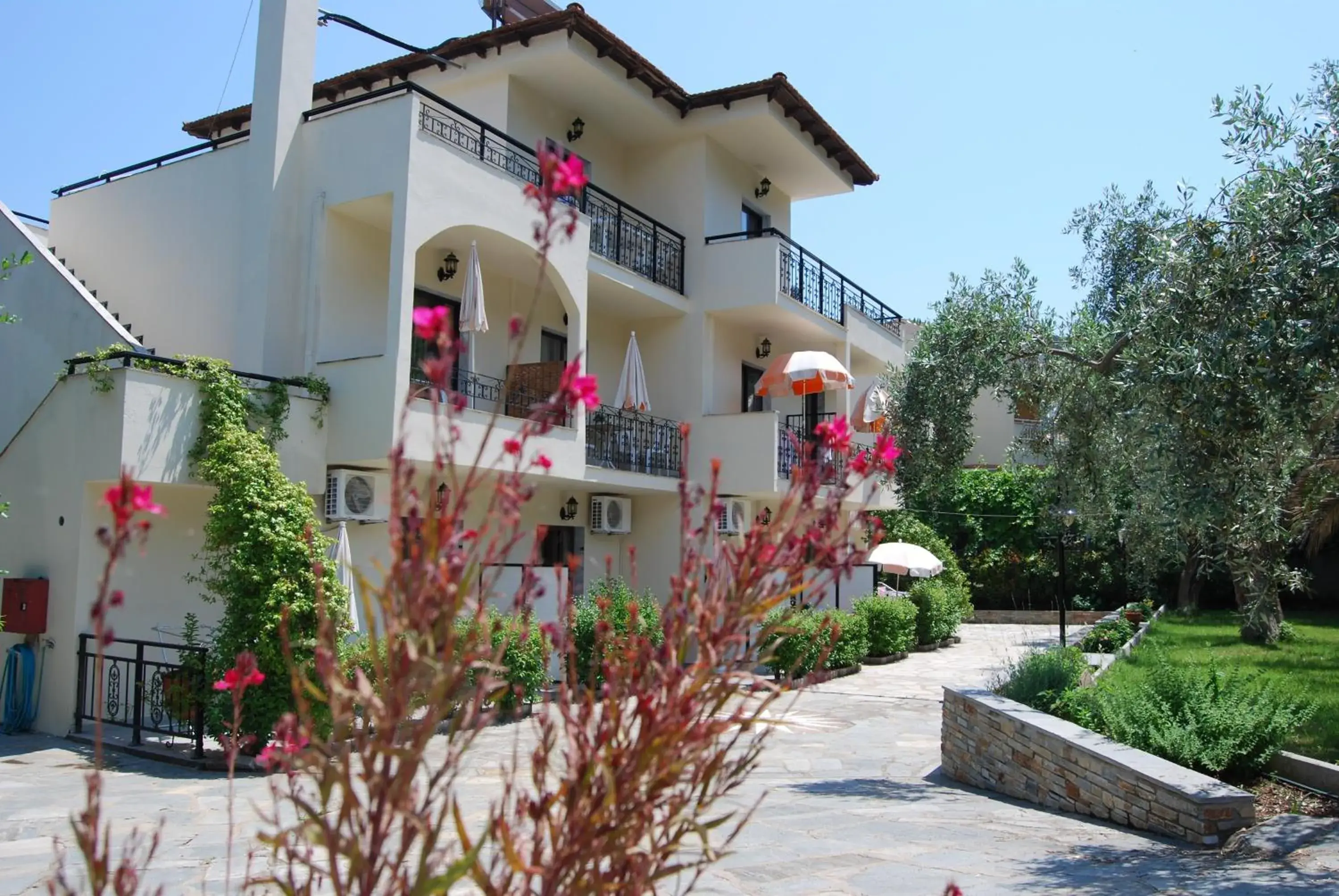 Studios Estrella del mar Studios Estrella del mar