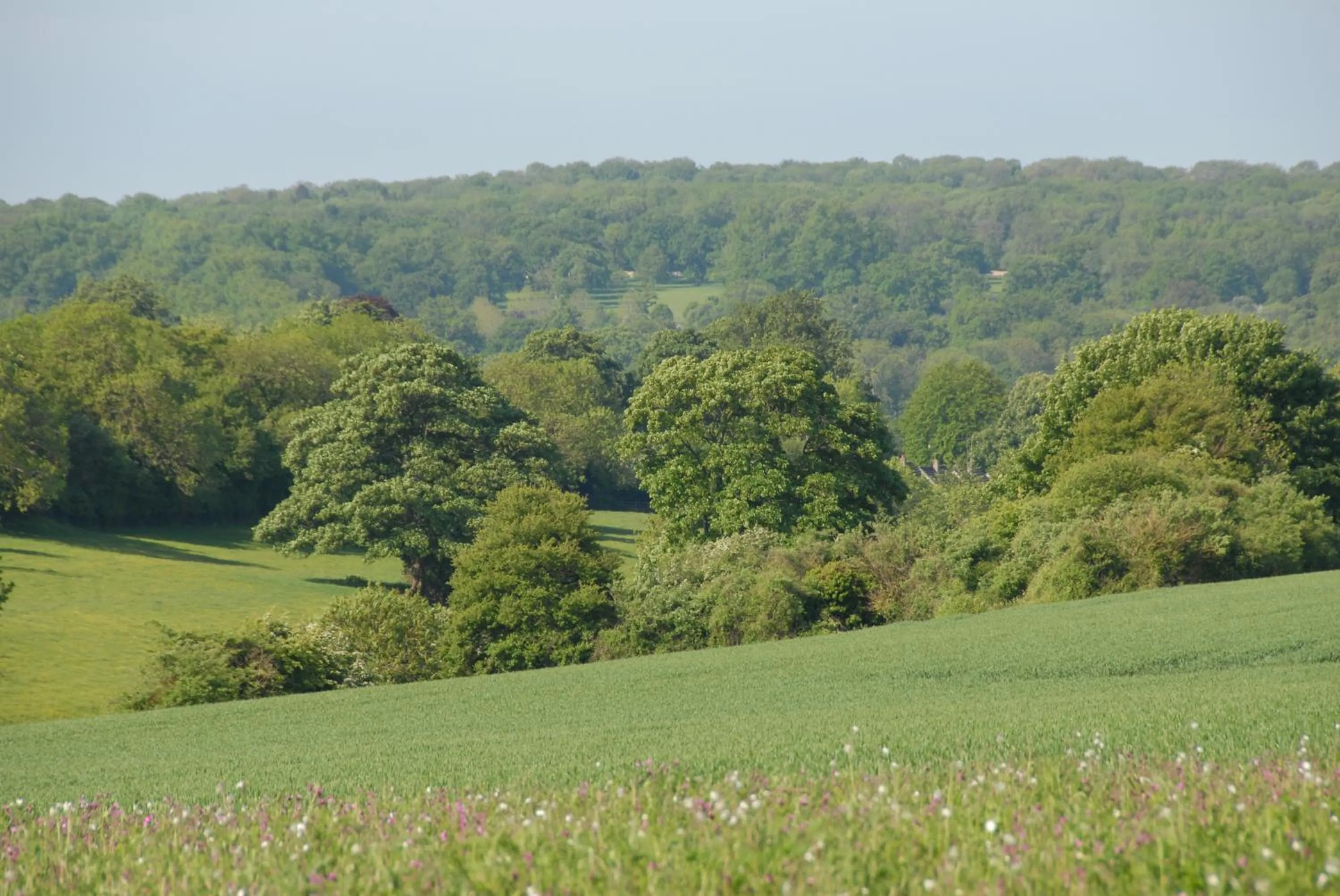 Natural landscape in Banbury Hill Farm Bed & Breakfast