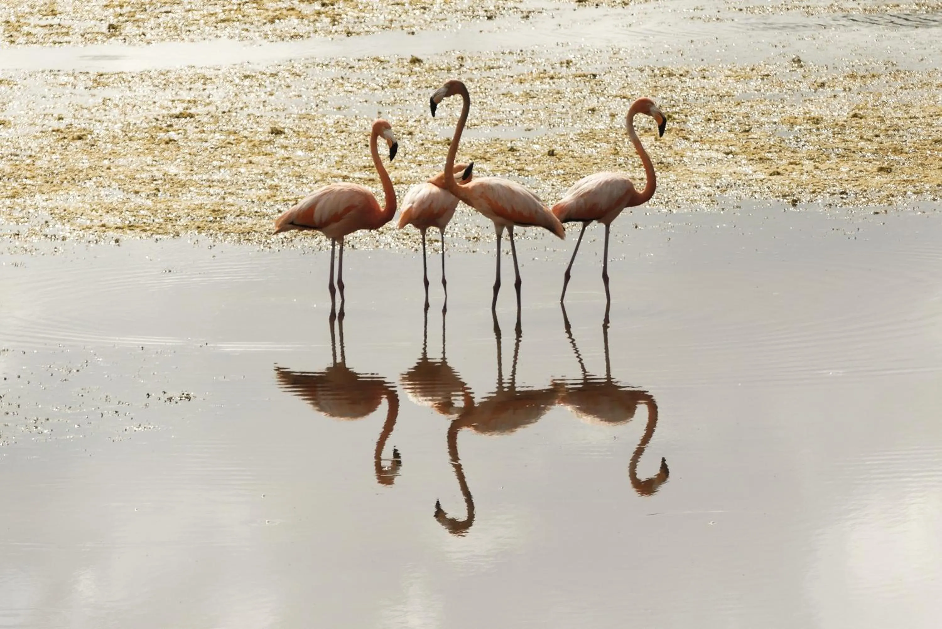 Natural landscape in Casa Cuyo Hotel