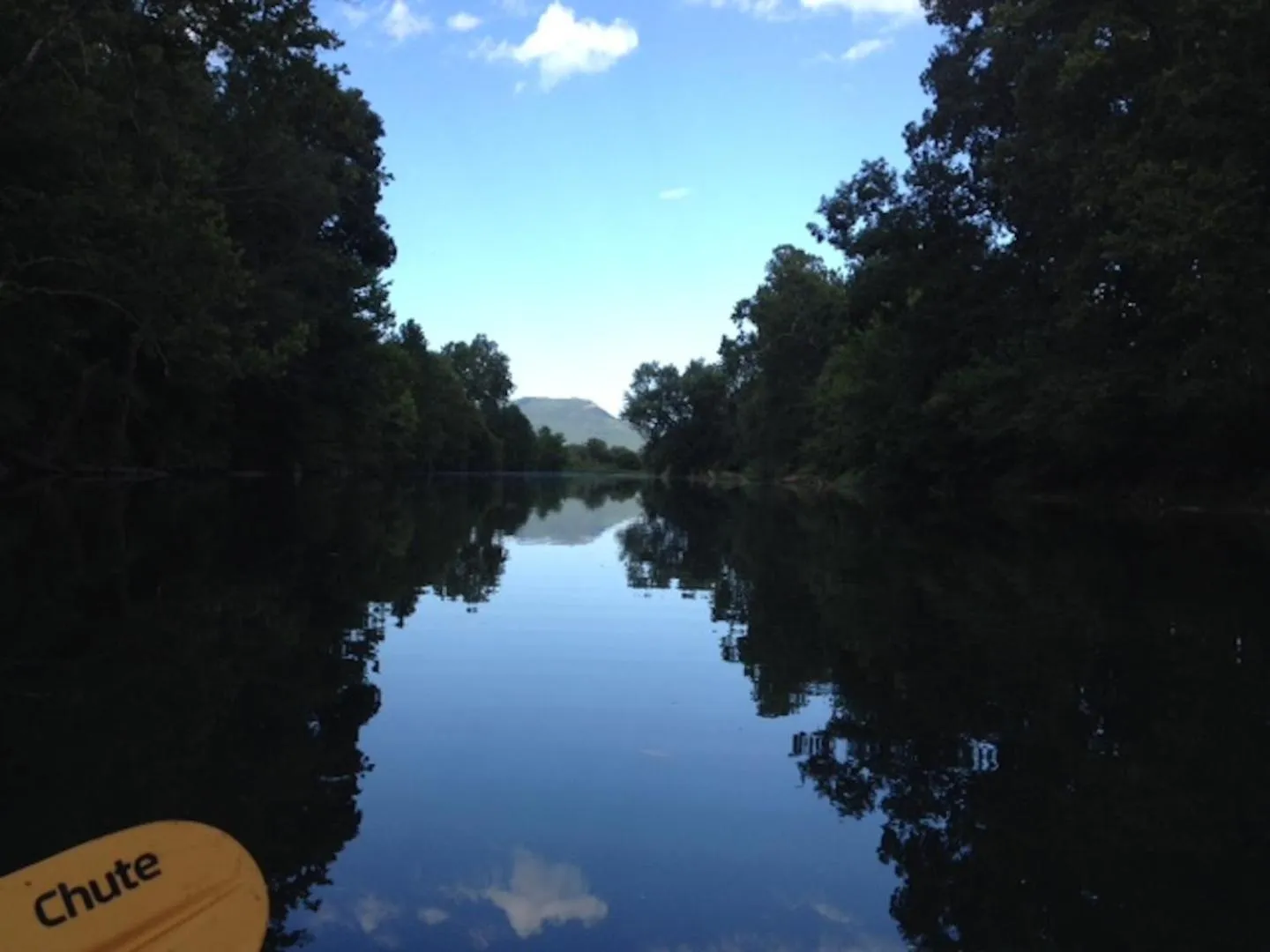 View (from property/room) in River Bluff Farm Bed and Breakfast