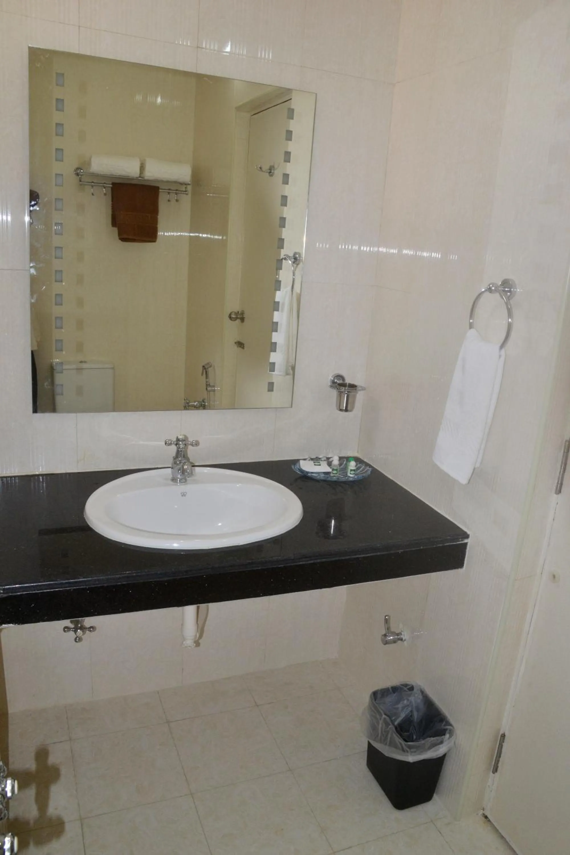 Bathroom in Peace Inn Chennai