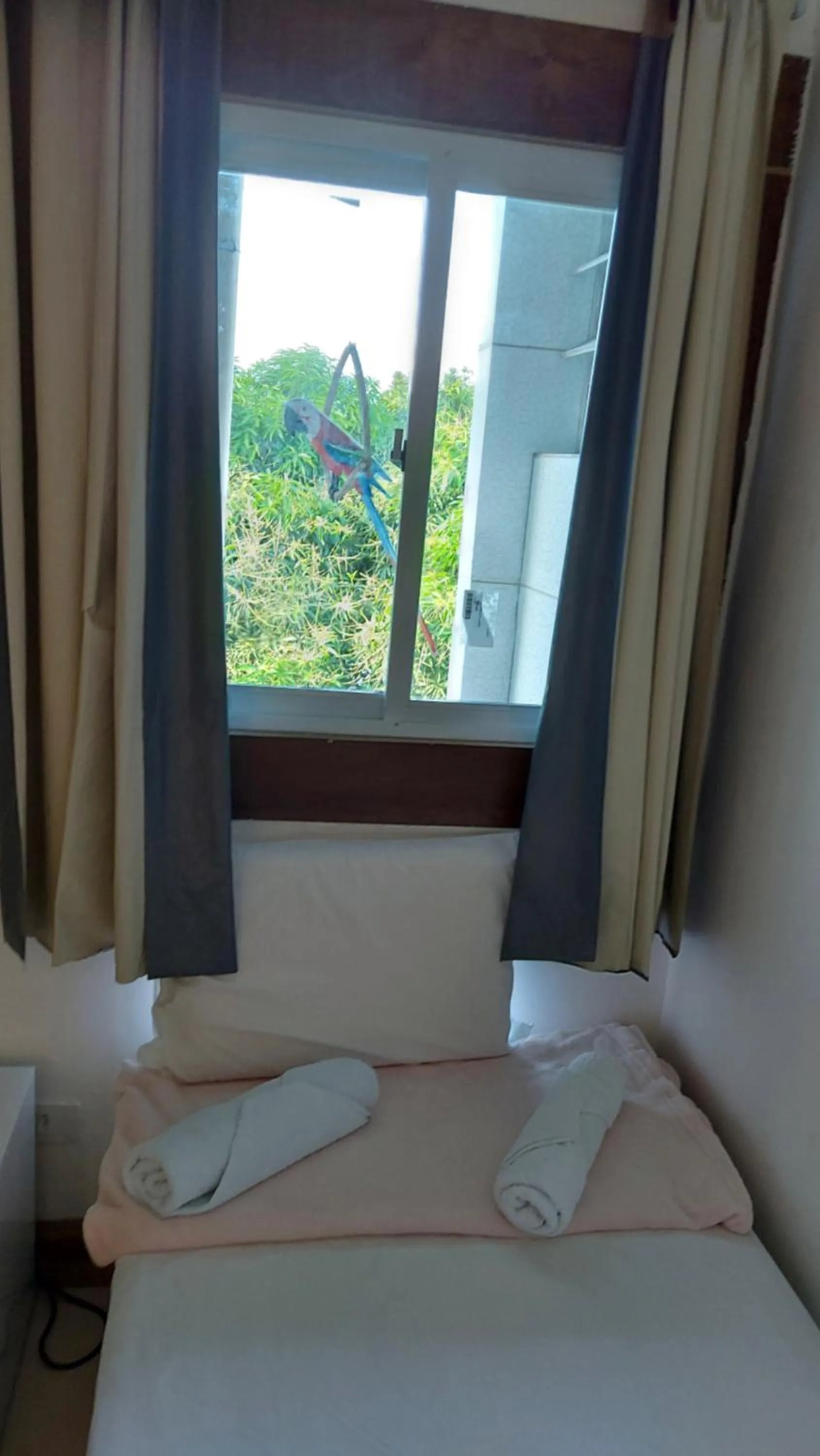 Bed in Suites Porto Frevo