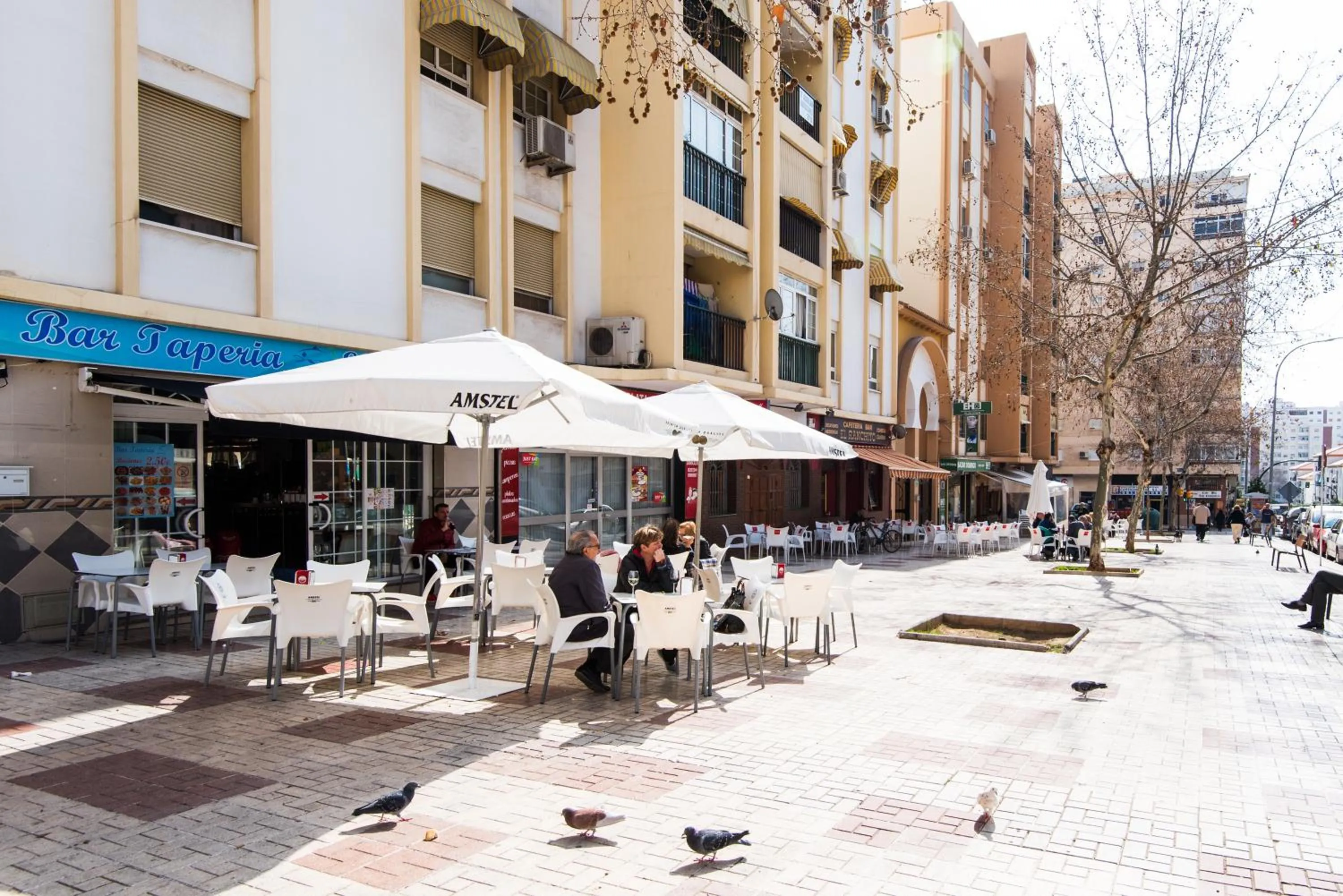 Property building in Estudio Malagasol