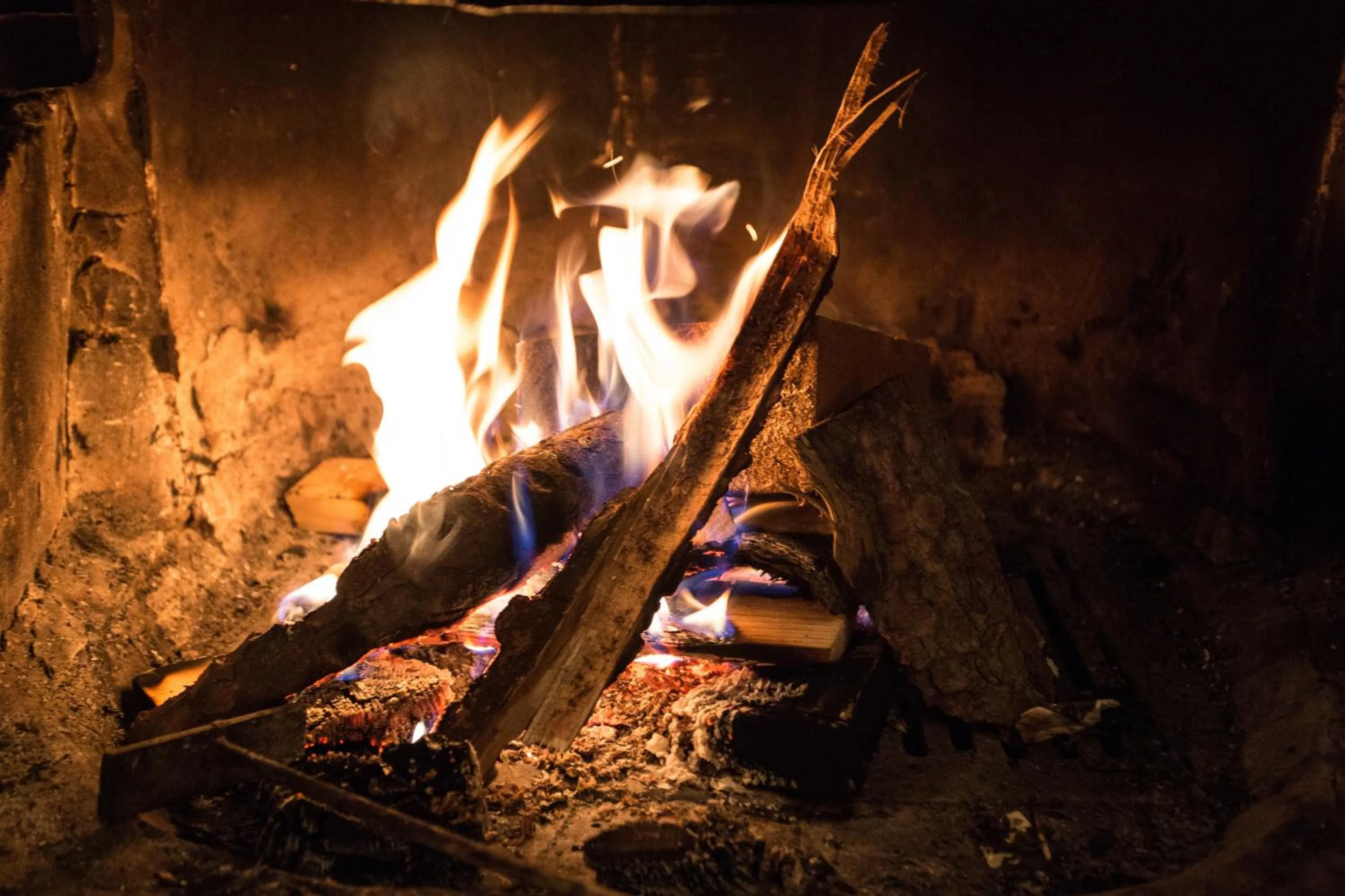 Other in Willa Magdalena