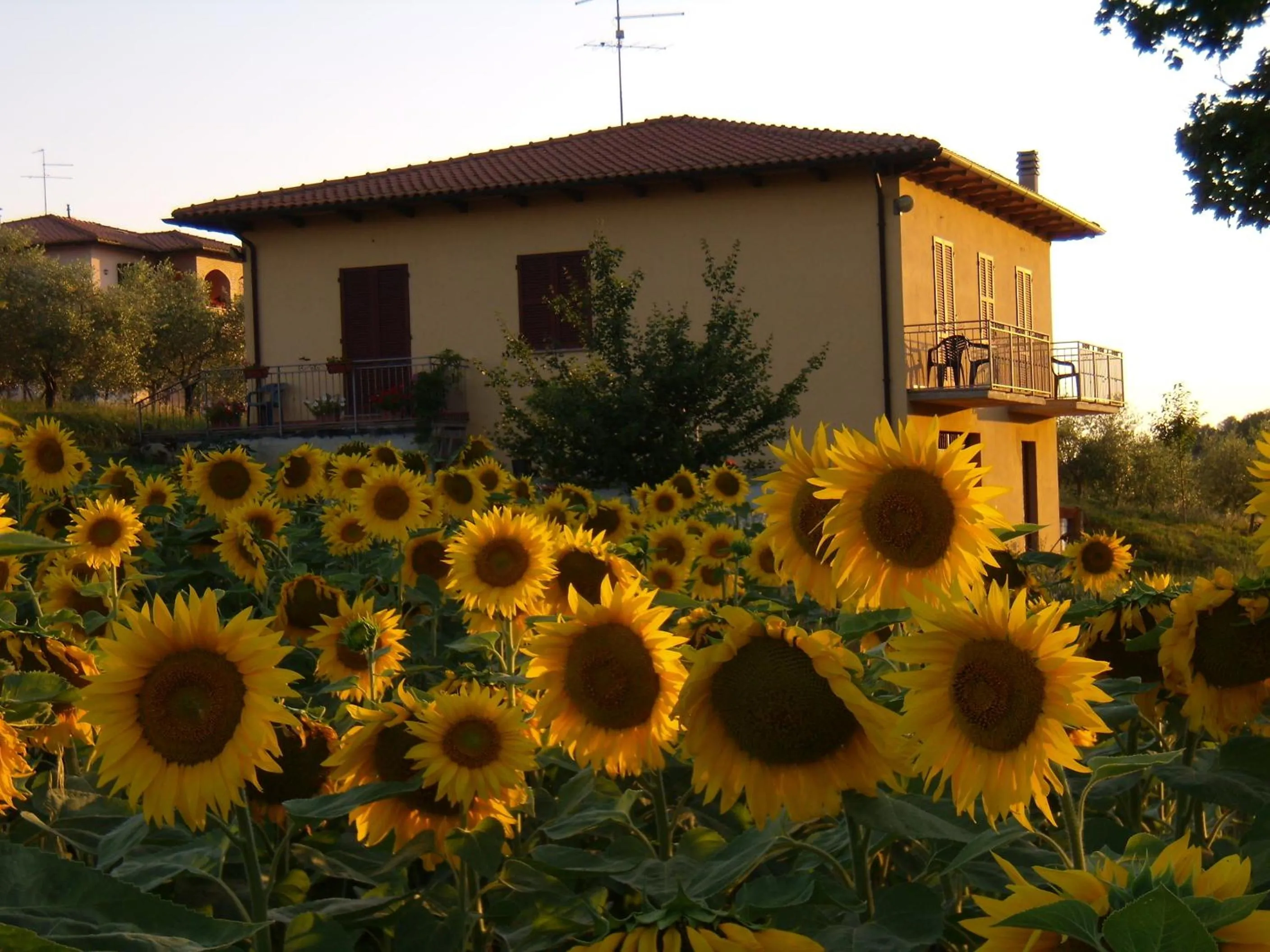 Facade/entrance in B&B Il Girasole - Rooms & House in country - air conditioned - 1500 meters from historic center