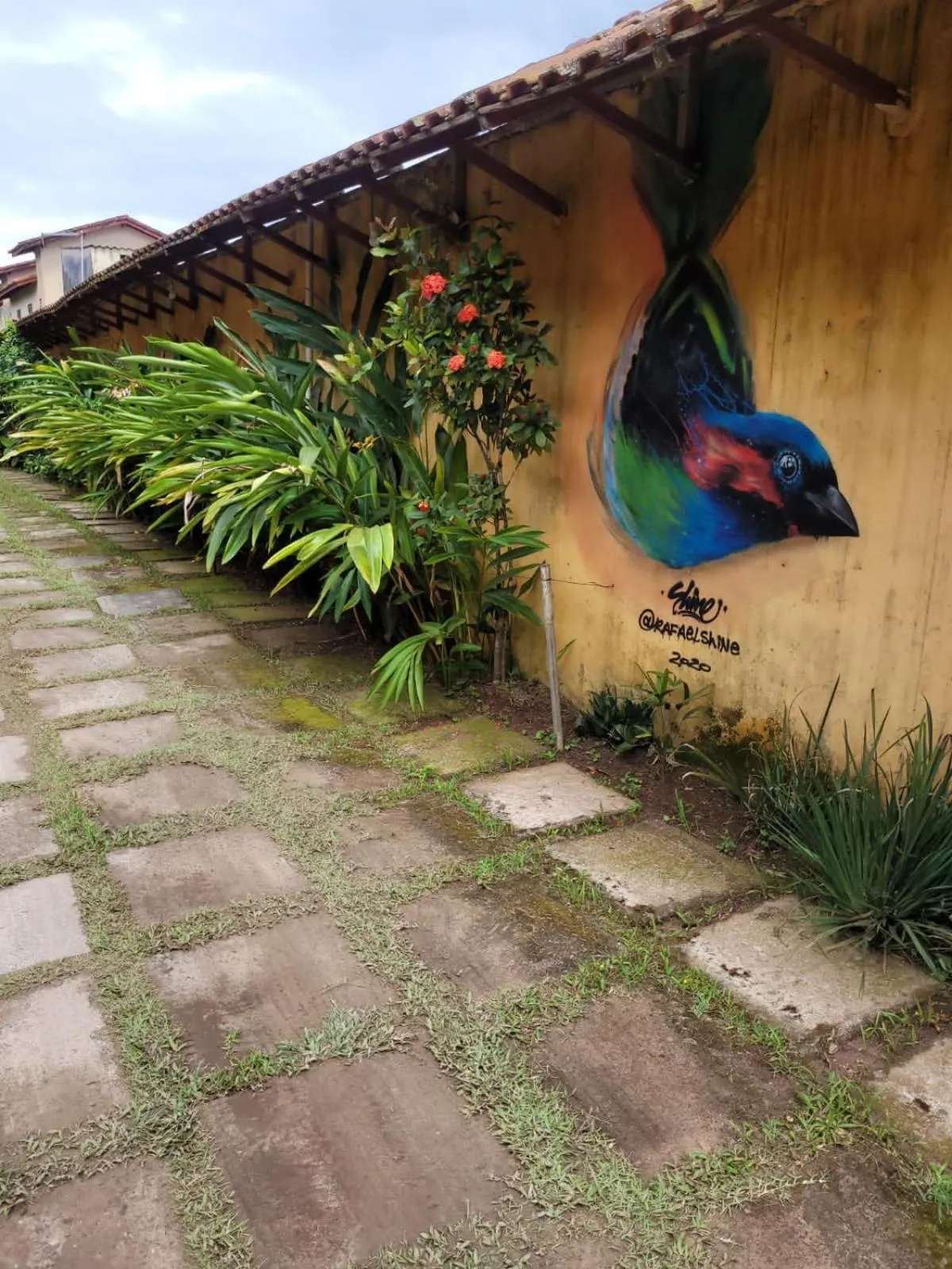 Garden in Pousada Boramar