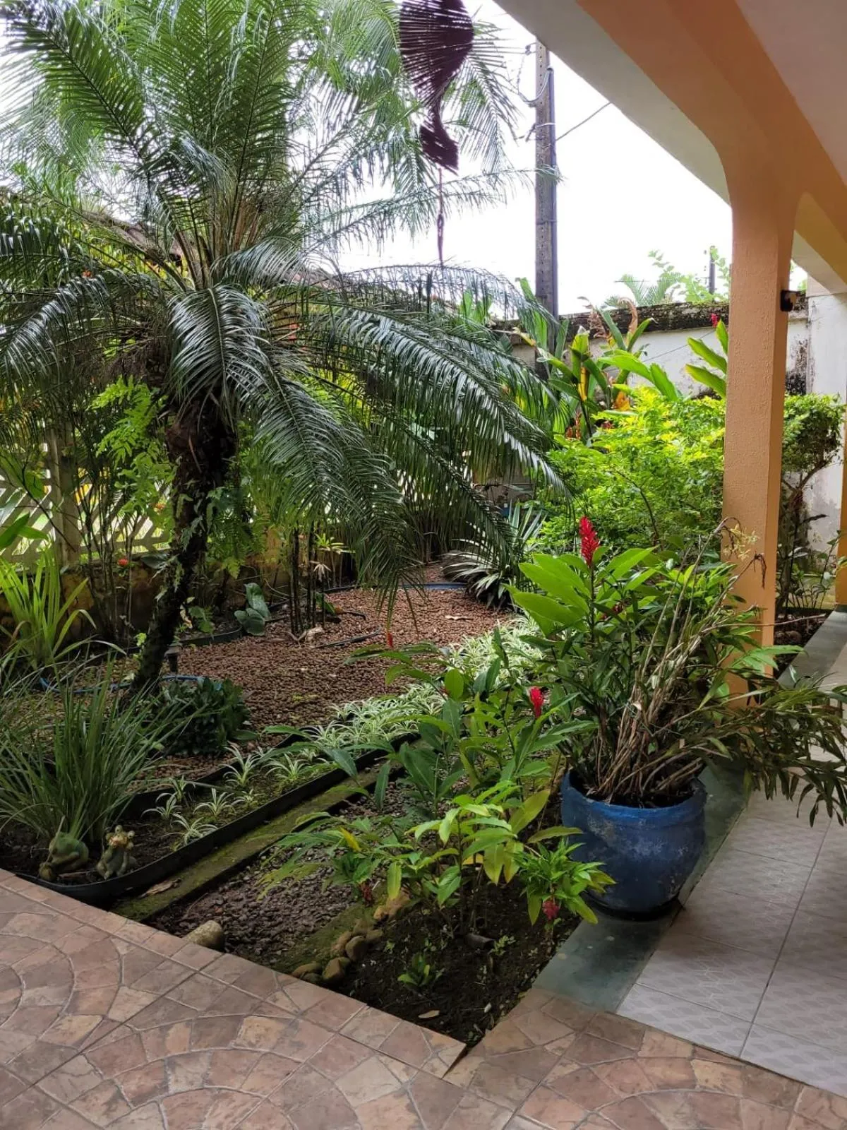 Garden in Pousada Boramar