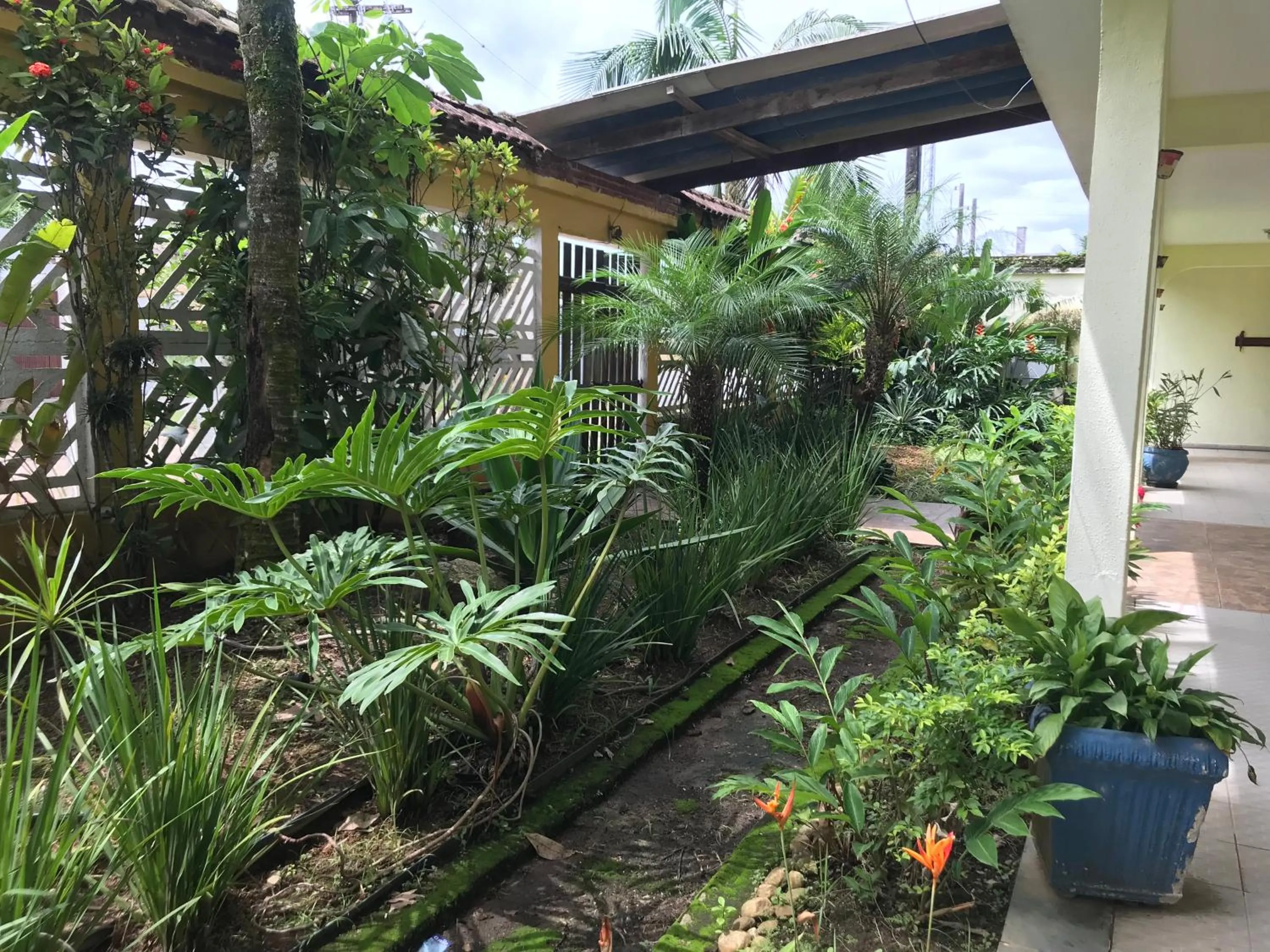 Garden view in Pousada Boramar