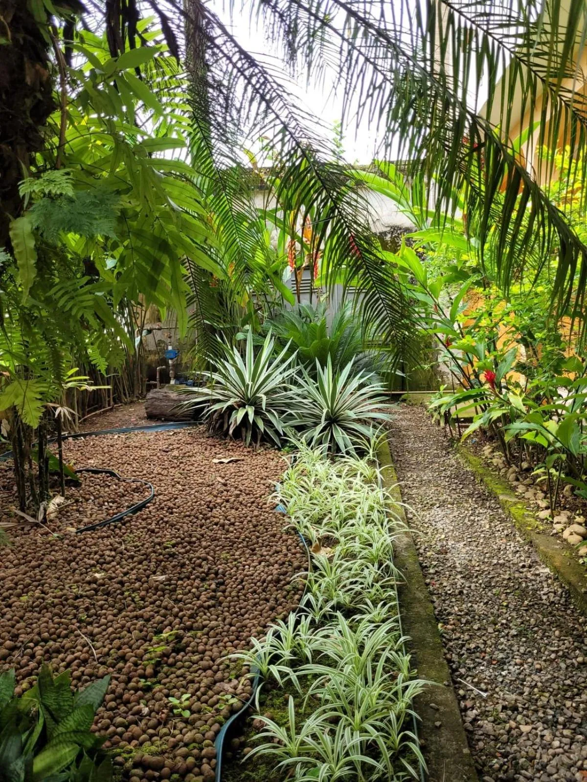 Garden in Pousada Boramar