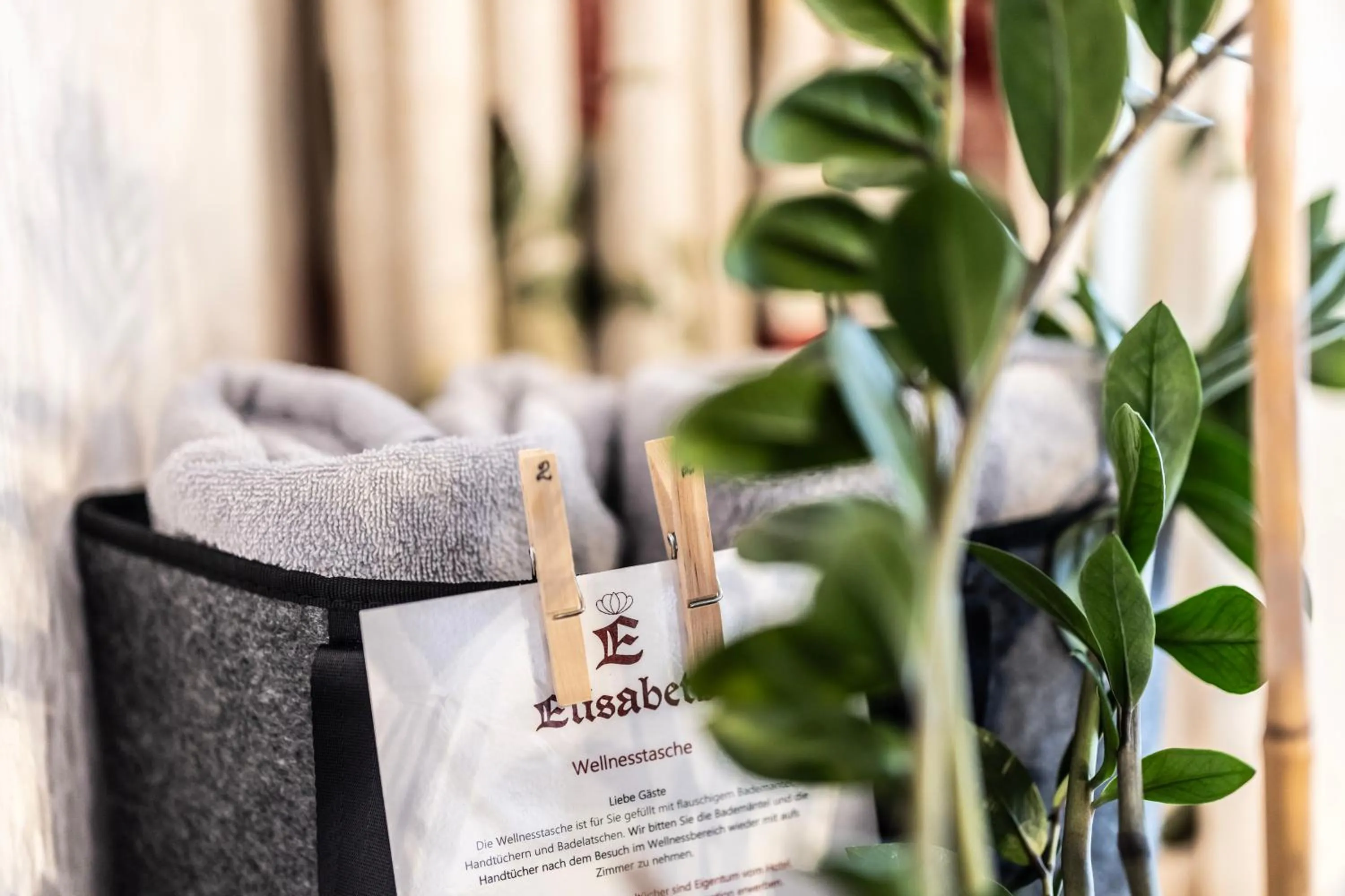 Spa and wellness centre/facilities in Hotel Elisabeth