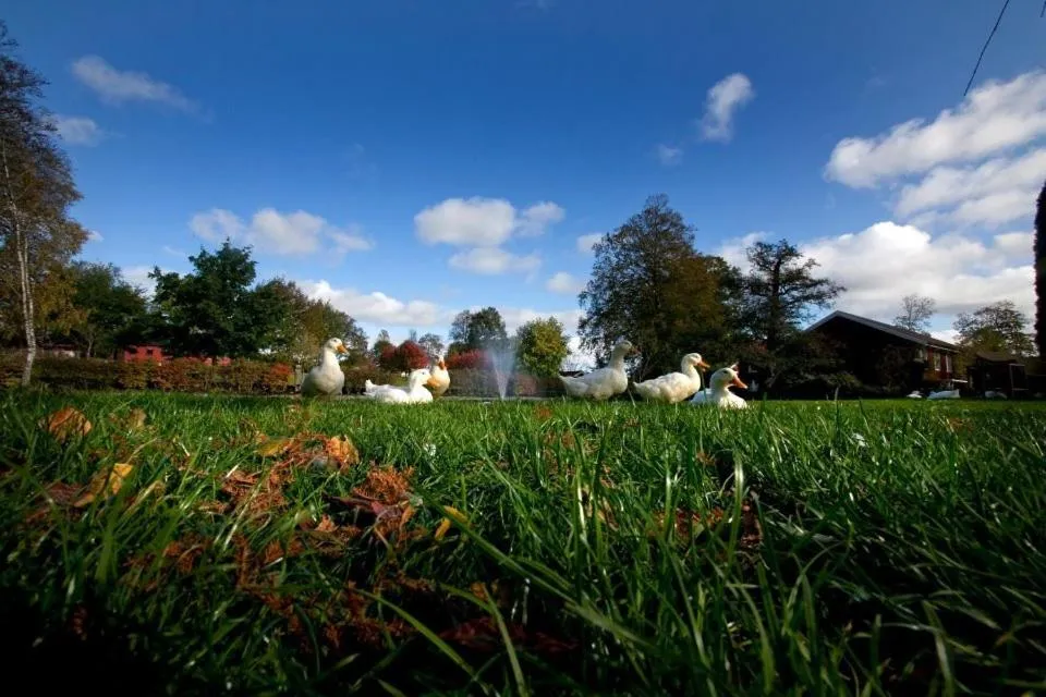 Animals in Thorskogs Slott