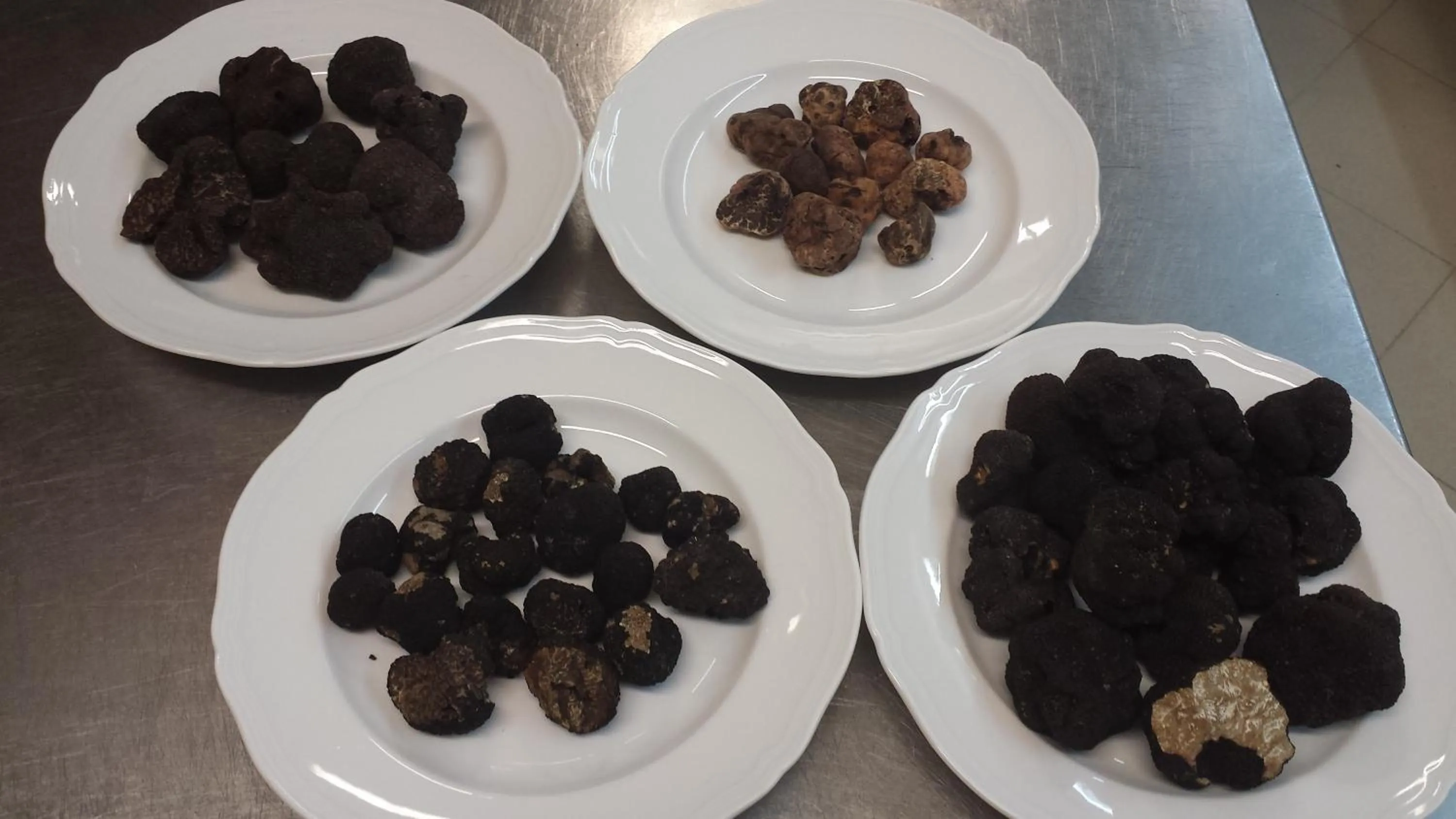 Food in Casale l'Antico Carro