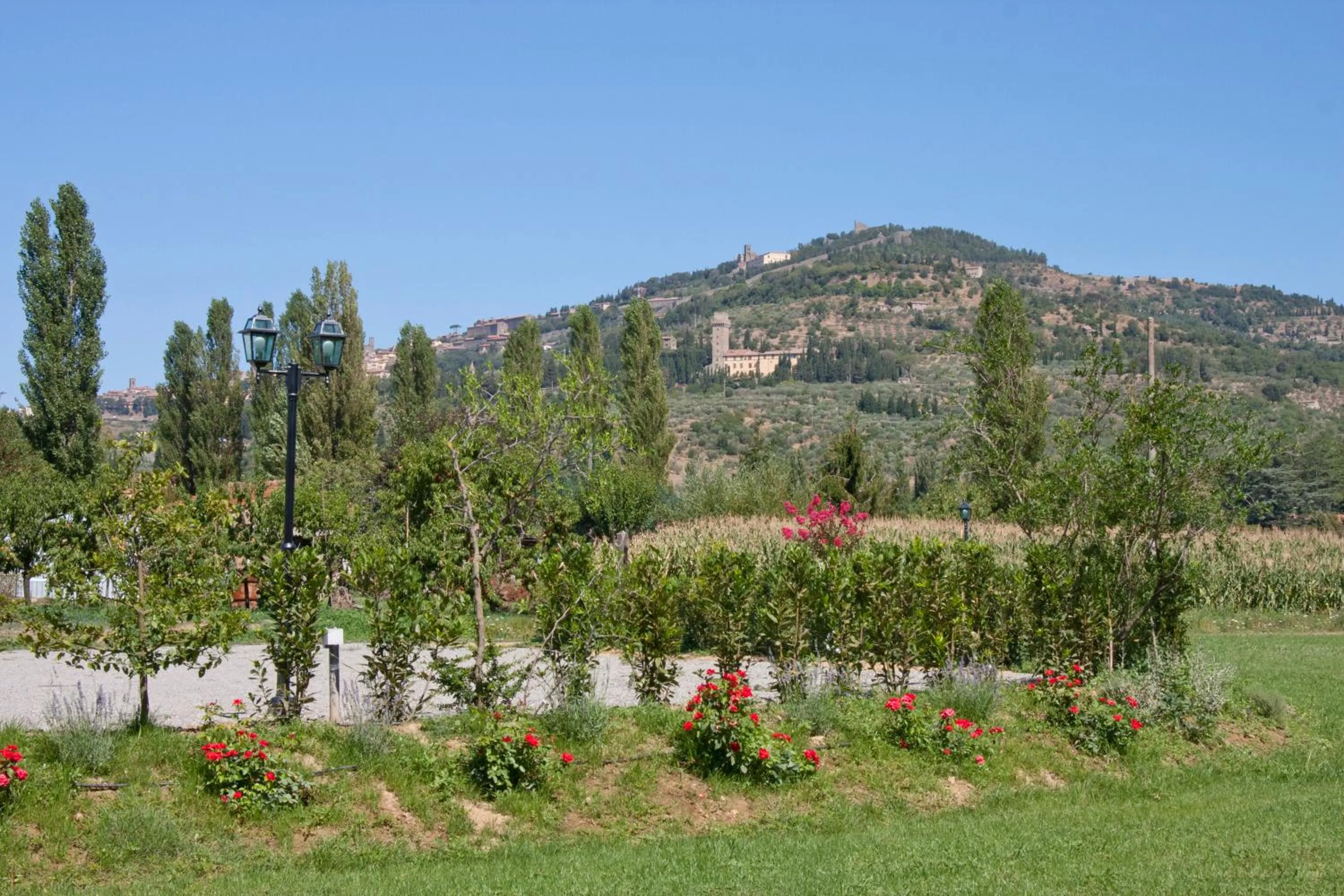 Casale l'Antico Carro