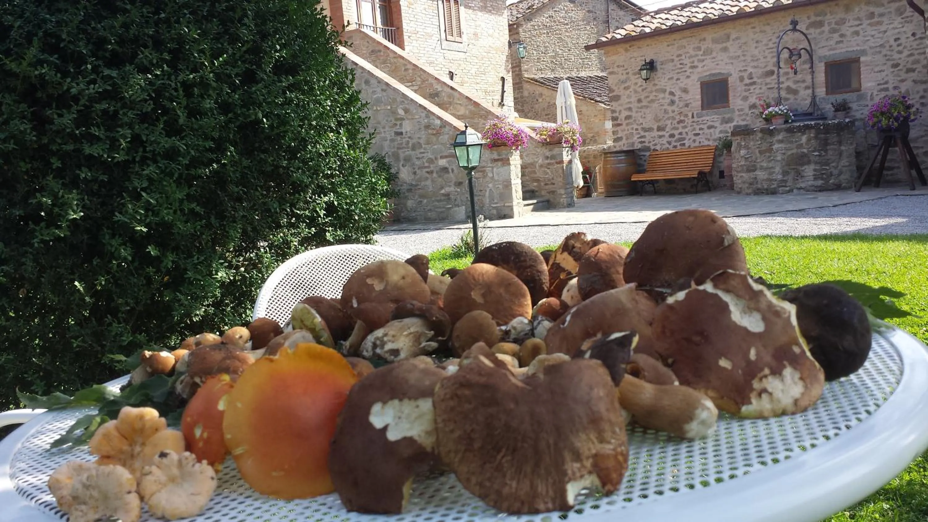 Casale l'Antico Carro