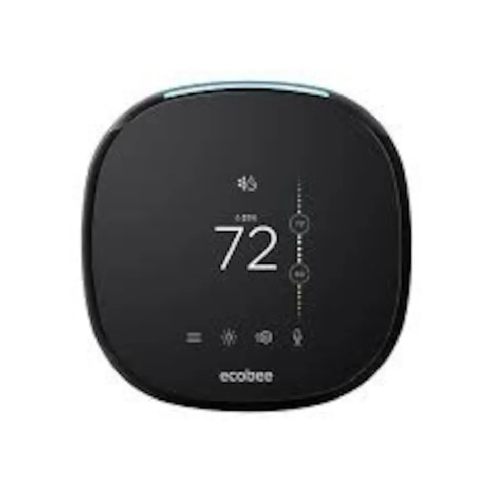 East Downtown Treetop Terrace